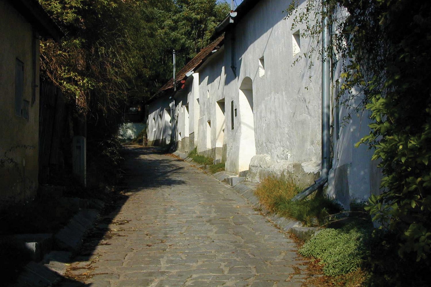 Úzka dláždená ulička s bielymi budovami a zelenou vegetáciou v Enzersfelde.