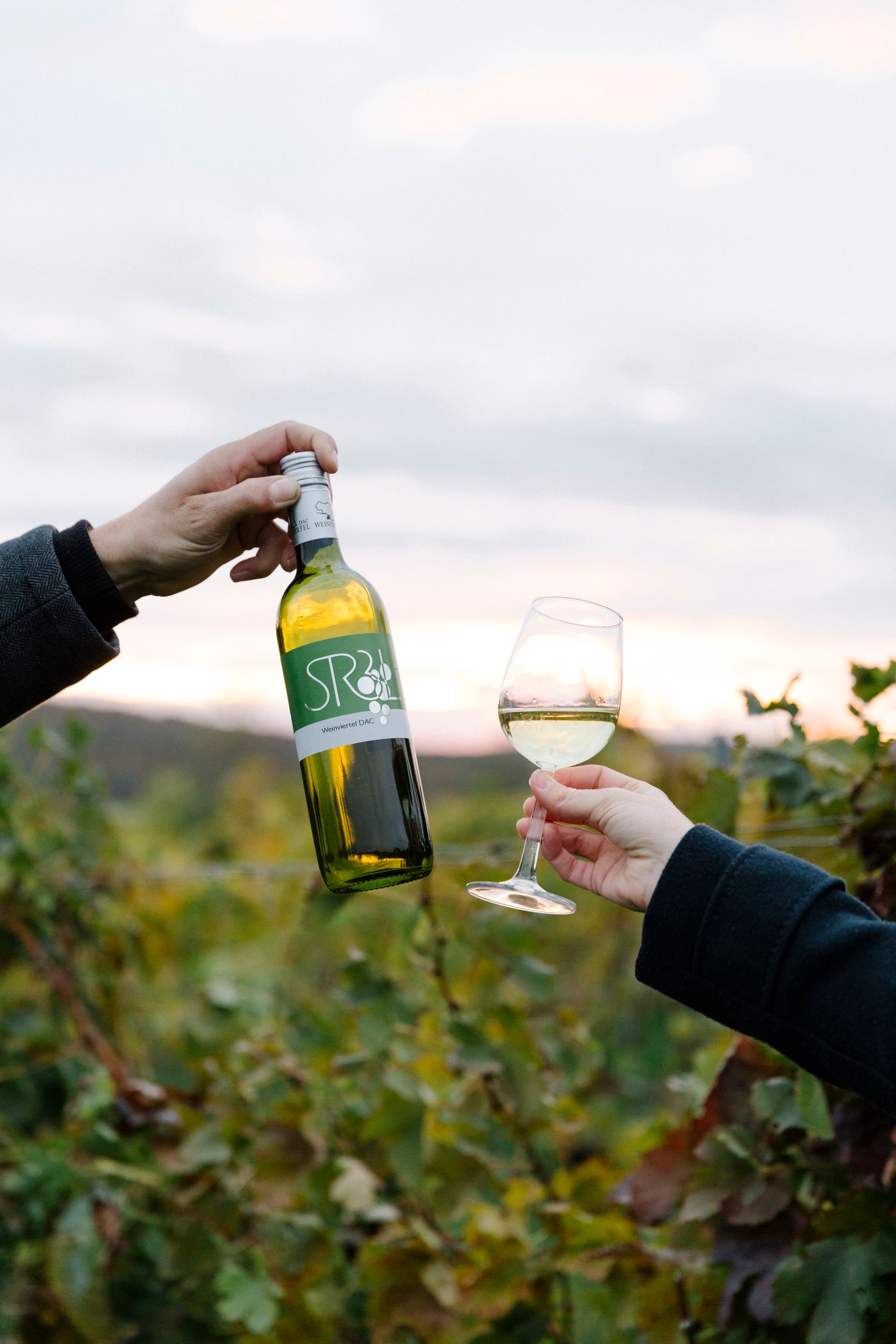 Dve ruky držia fľašu vína a pohár bieleho vína pred vinicou.