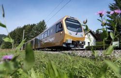 Die sanften Hügel und die üppige Vegetation umrahmen die malerische Bahn, die durch die atemberaubende Landschaft gleitet. Hier, wo die Natur in voller Pracht erblüht, wird jeder Moment zu einem unvergesslichen Erlebnis. Genießen Sie die frische Bergluft und die Ruhe, die nur die Berge bieten können.
