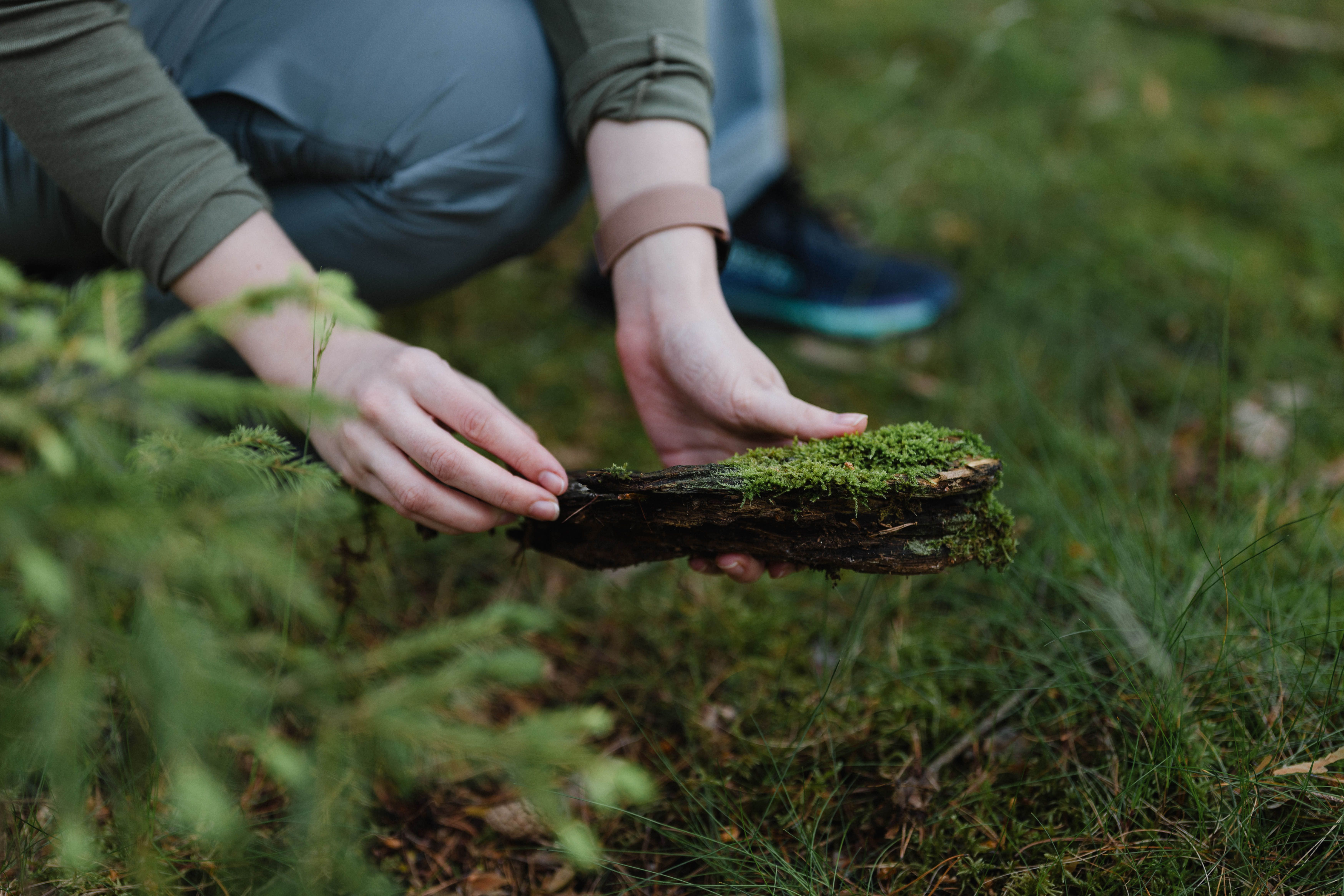 Osoba držiaca kus dreva pokrytého machom v lese.