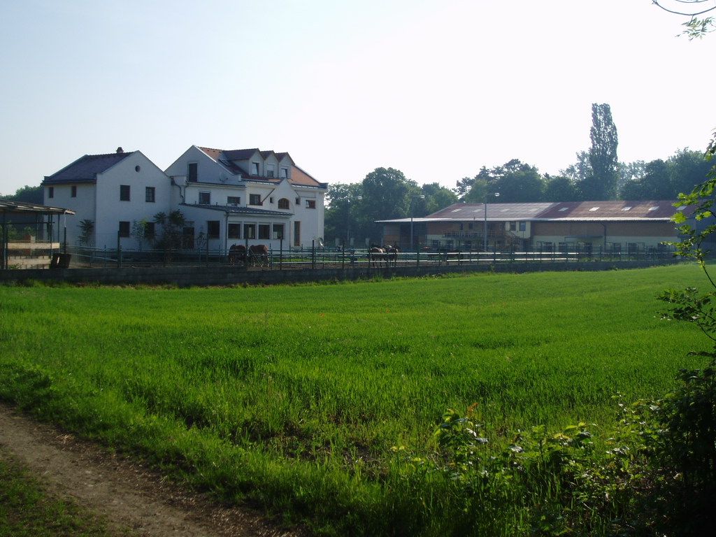 Pohľad zozadu na veľký biely dom so susednou stajňou a zelenou lúkou v popredí.