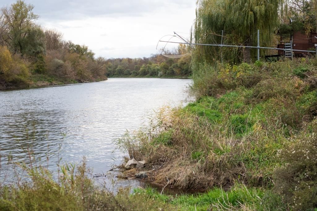 Riečna krajina so stromami a zelenými brehmi.