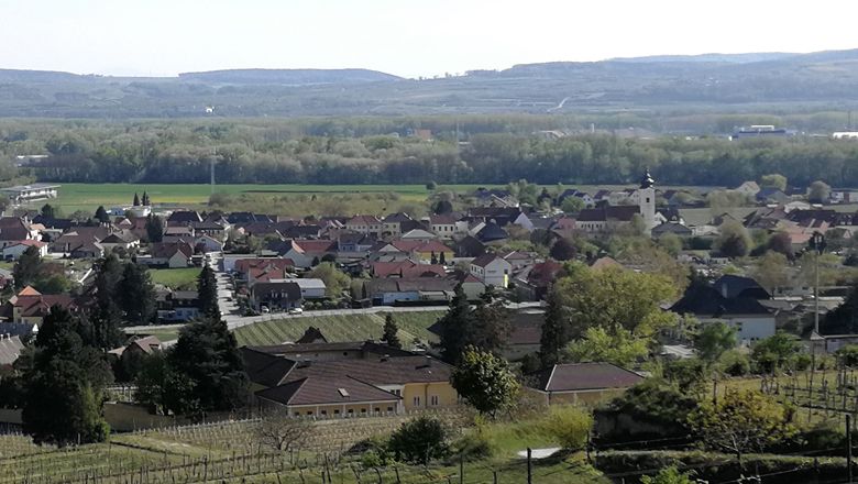 Panoramatický pohľad na obec Rohrendorf s vinicami v popredí a kopcami v pozadí.
