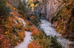 Die sanften Kurven des Pfades schlängeln sich durch die beeindruckende Schlucht, umgeben von majestätischen Felsen und leuchtenden Herbstfarben. Das glitzernde Wasser des Baches fließt ruhig und lädt zu einer erholsamen Wanderung in der unberührten Natur ein.