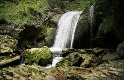 Der Trefflingfall verzaubert mit seinem klaren Wasser, das sanft über die moosbedeckten Steine plätschert. Umgeben von üppigem Grün und dem Gesang der Vögel, lädt dieser Ort zum Verweilen und Entspannen ein. Hier erleben Familien die Schönheit der Natur hautnah und können die frische Luft in vollen Zügen genießen.