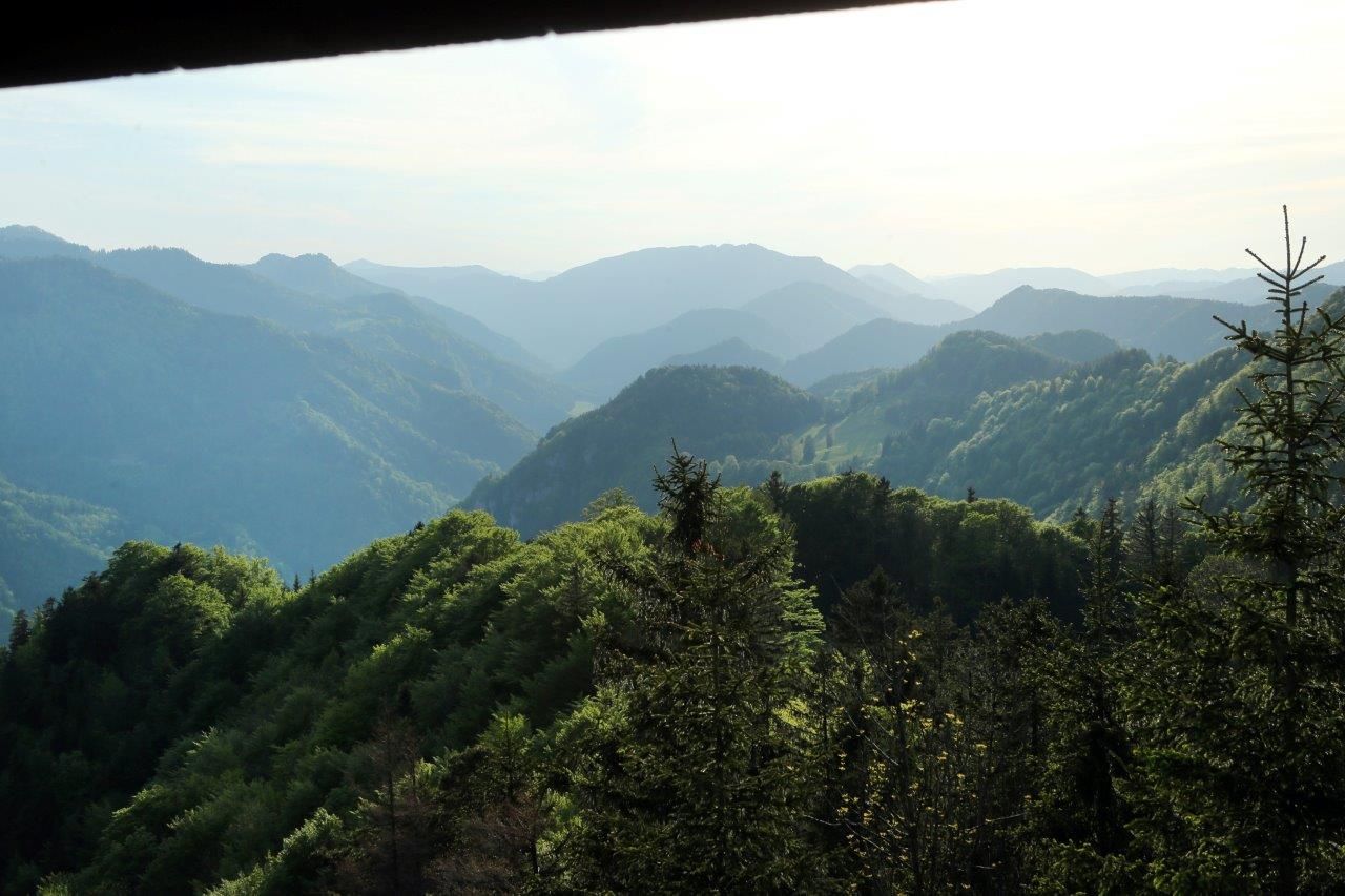 Pohľad na zalesnené kopce a hory v diaľke pri západe slnka.