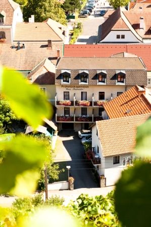 Pohľad na budovu s nápisom "Haus Oestreicher", obklopenú ďalšími domami a zelenými listami v popredí.