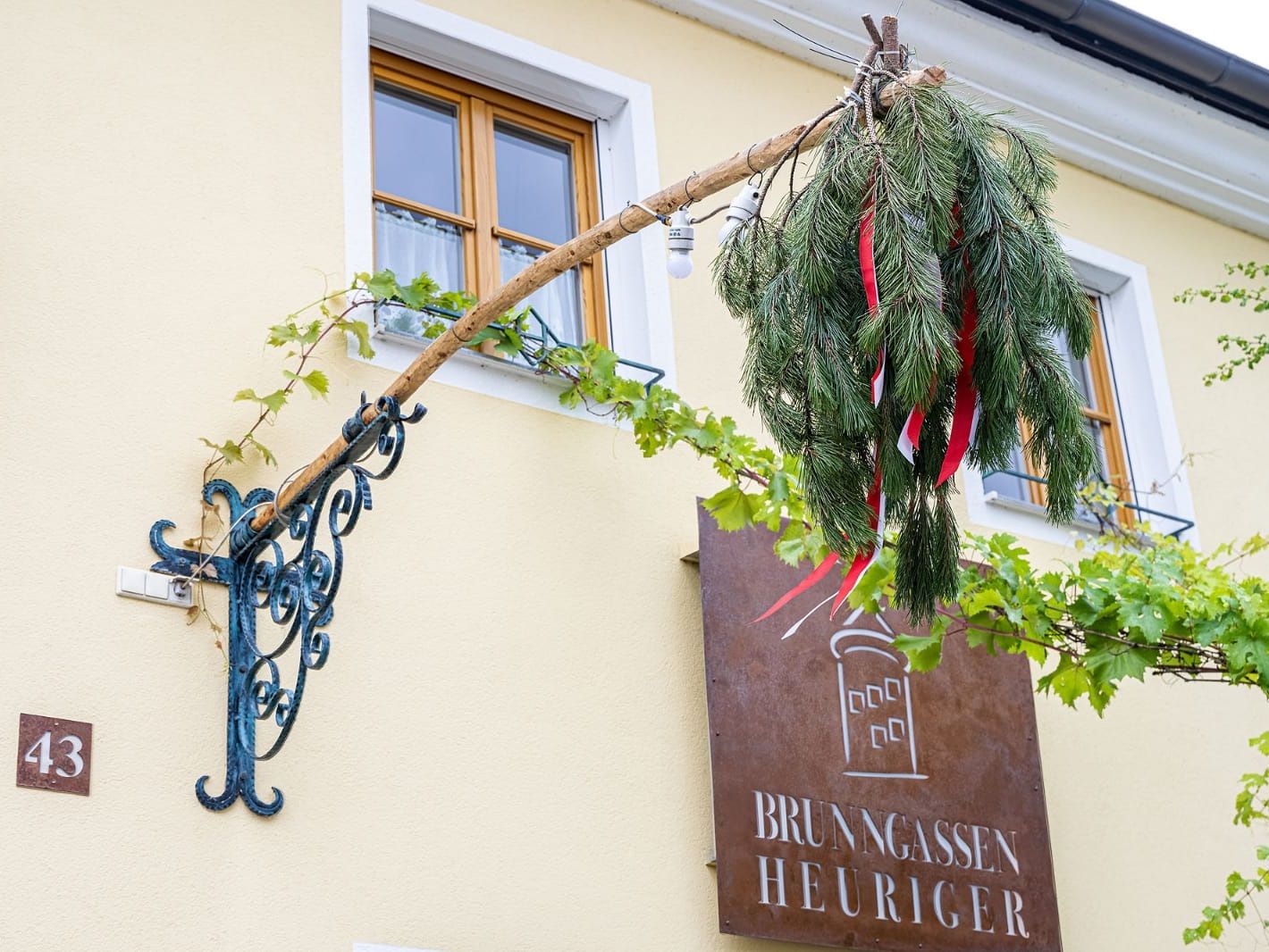 Ochutnávka vín, Weingut Herzog, Brunngasse, Bad Vöslau
