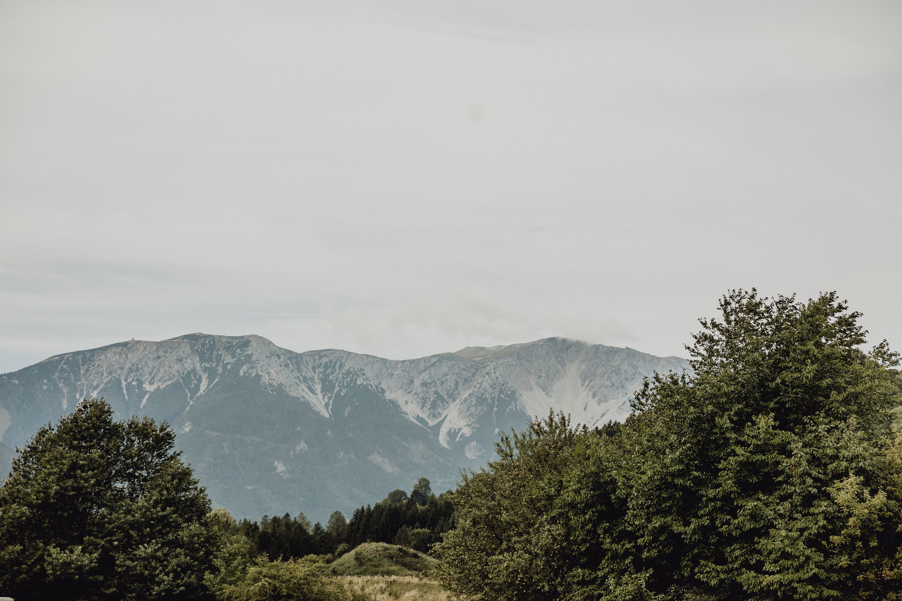 Pohľad na Schneeberg so zelenými stromami v popredí.