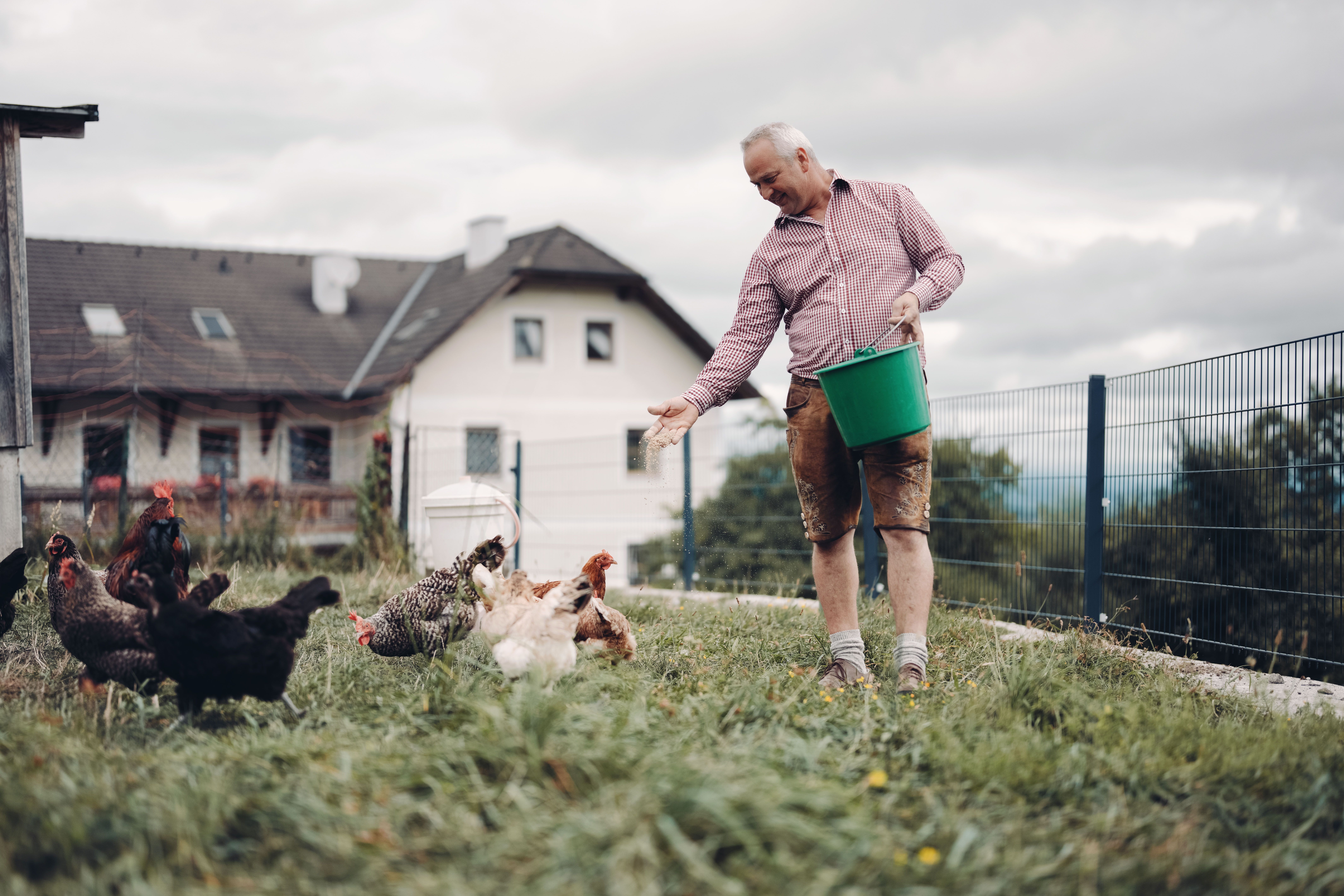 Muštová viecha Resch na Hörlesbergu
