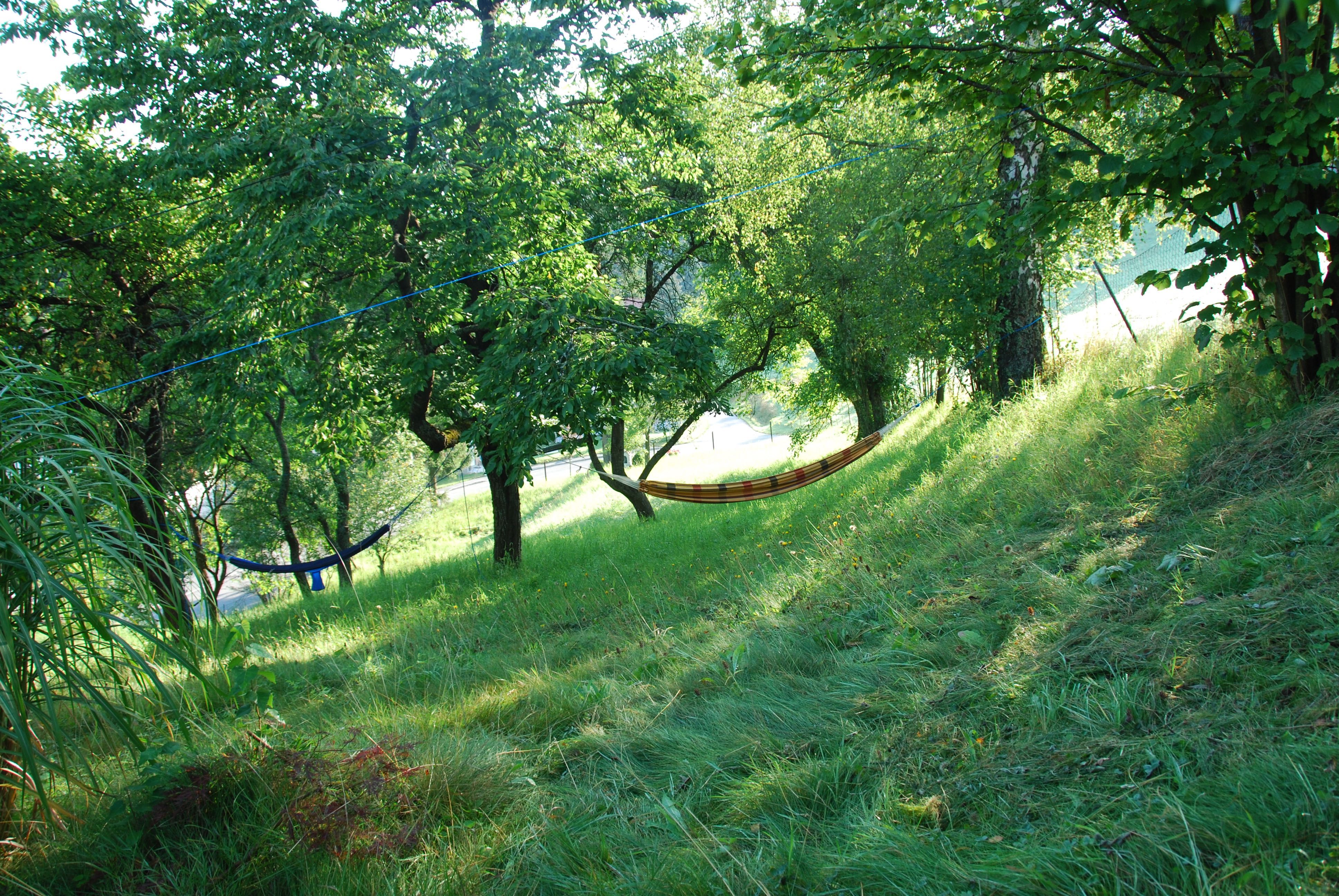 Pohľad do záhrady 