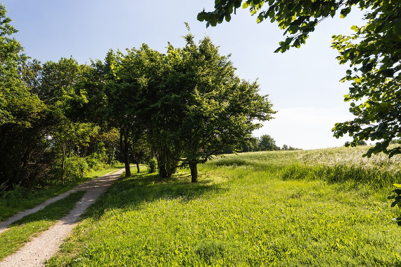 Panoramatická trasa Krembserberg