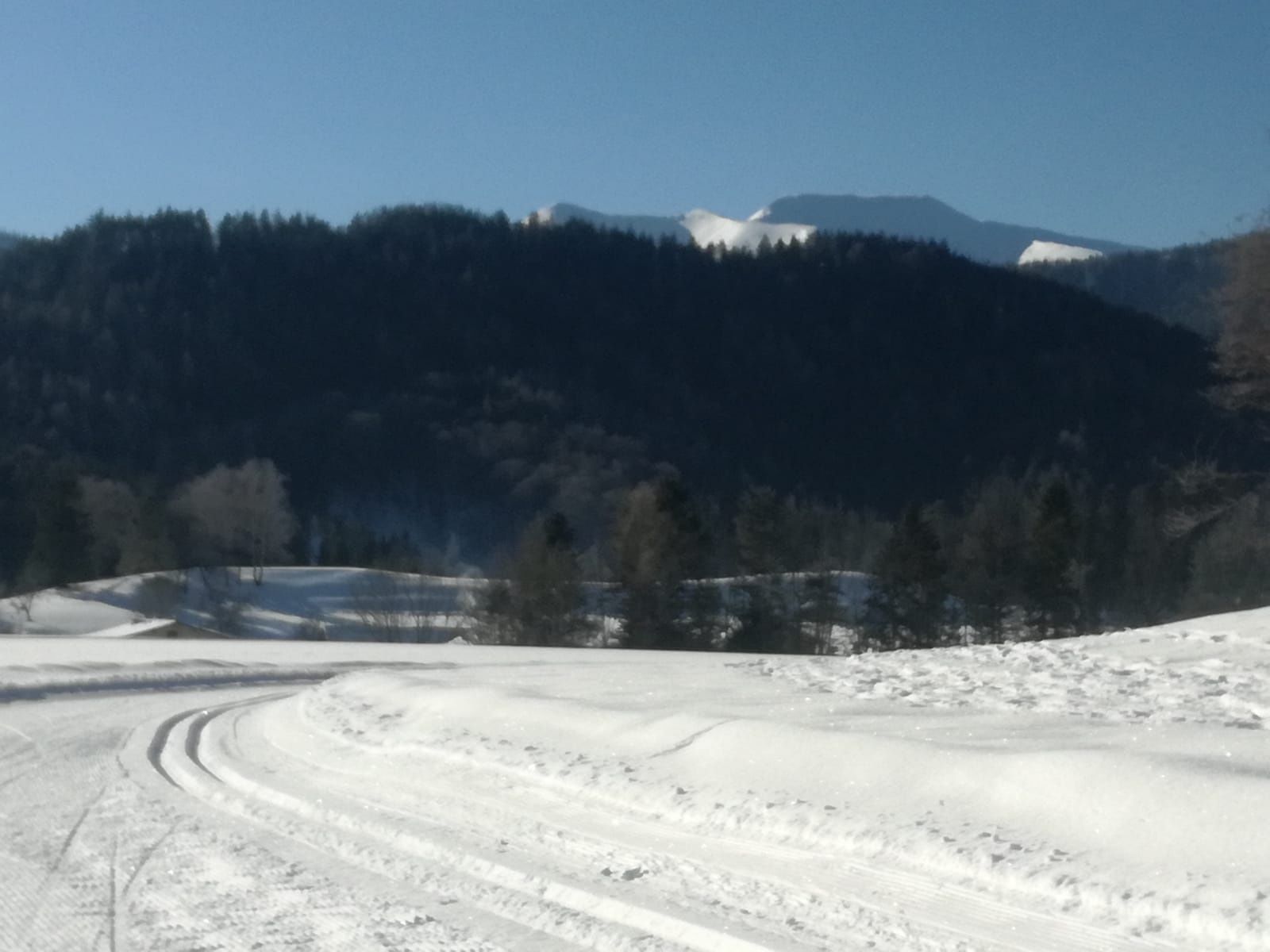 PANORMALOIPEN - 2/2 bežecká trať