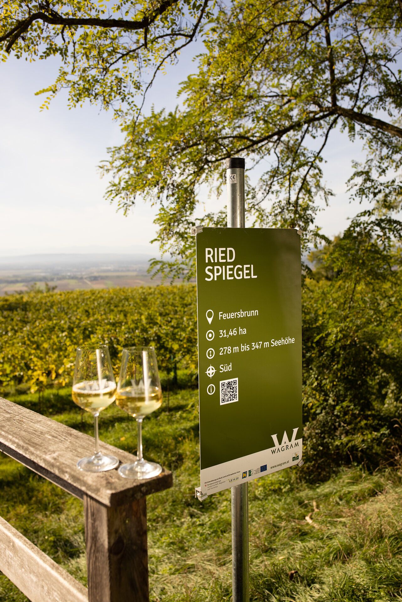 Uprostred kopcov sa rozprestiera vinič, ktorý kvitne v teplom jarnom svetle. Dva poháre zlatého vína sú pripravené na oslavu pôžitkov tohto regiónu. Pohľad na rozľahlé vinice sľubuje nezabudnuteľné chvíle.