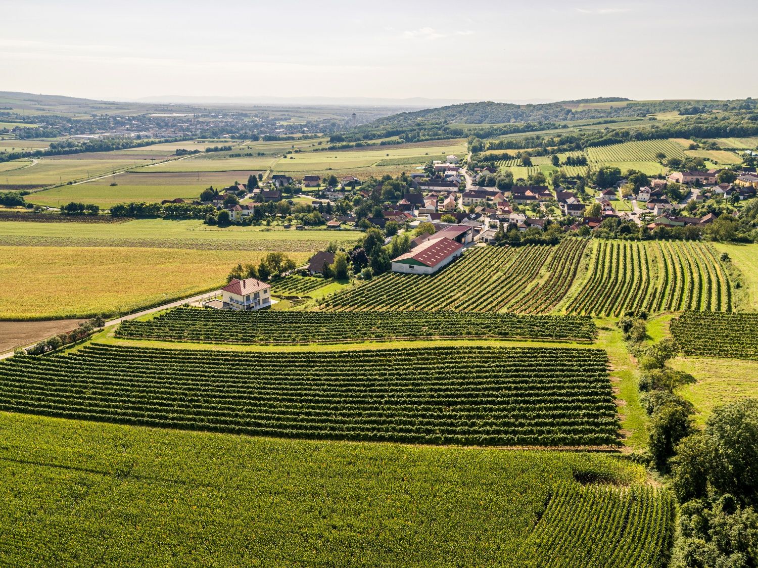 Letecký pohľad na Grossweikersdorf s okolitými poliami a vinicami.