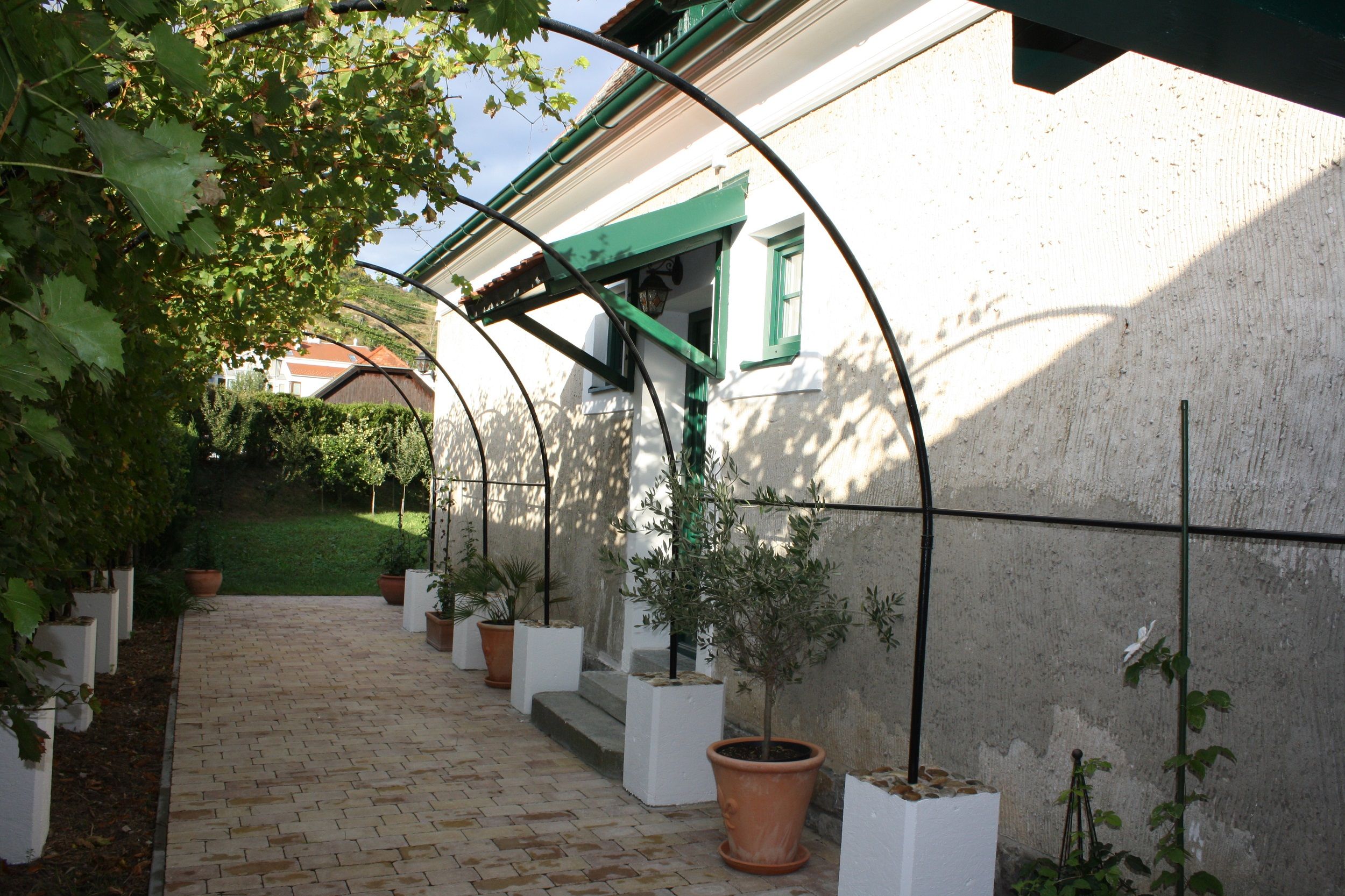 Altánok s viničom a rastlinami v kvetináčoch v ekologickom vinárstve Schmidl.