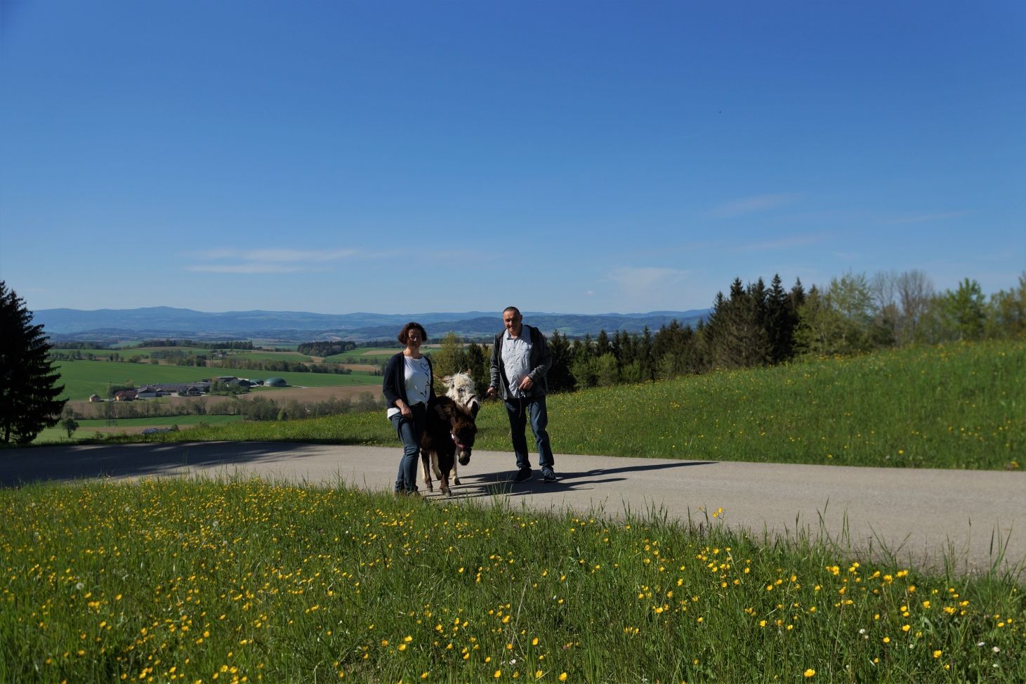 túra na oslovi karnerhof