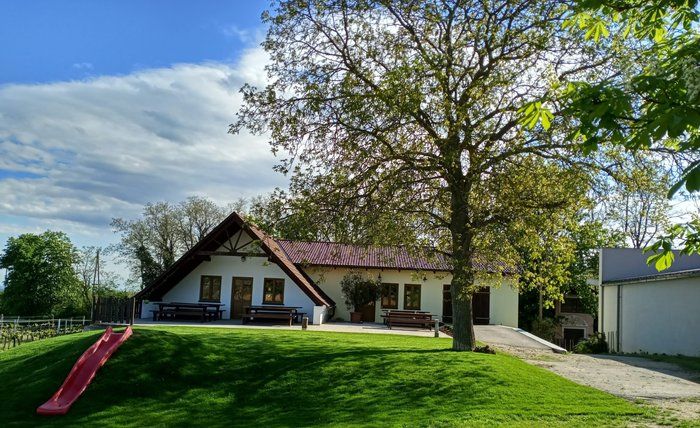 Vinohrad s terasou, stromami a šmýkačkou v popredí.