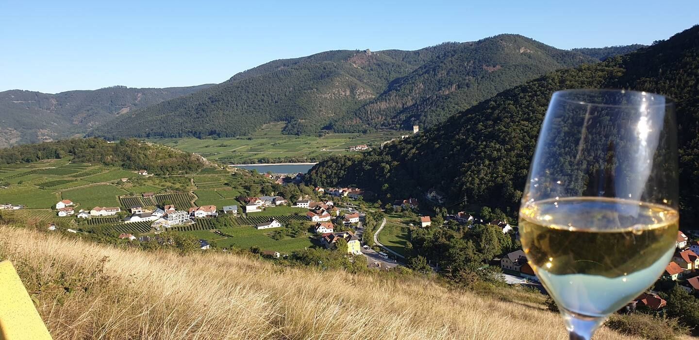Panoráma s vínnym pohárom v popredí, pohľad na údolie s dedinami a vinicami, obklopené zalesnenými kopcami.