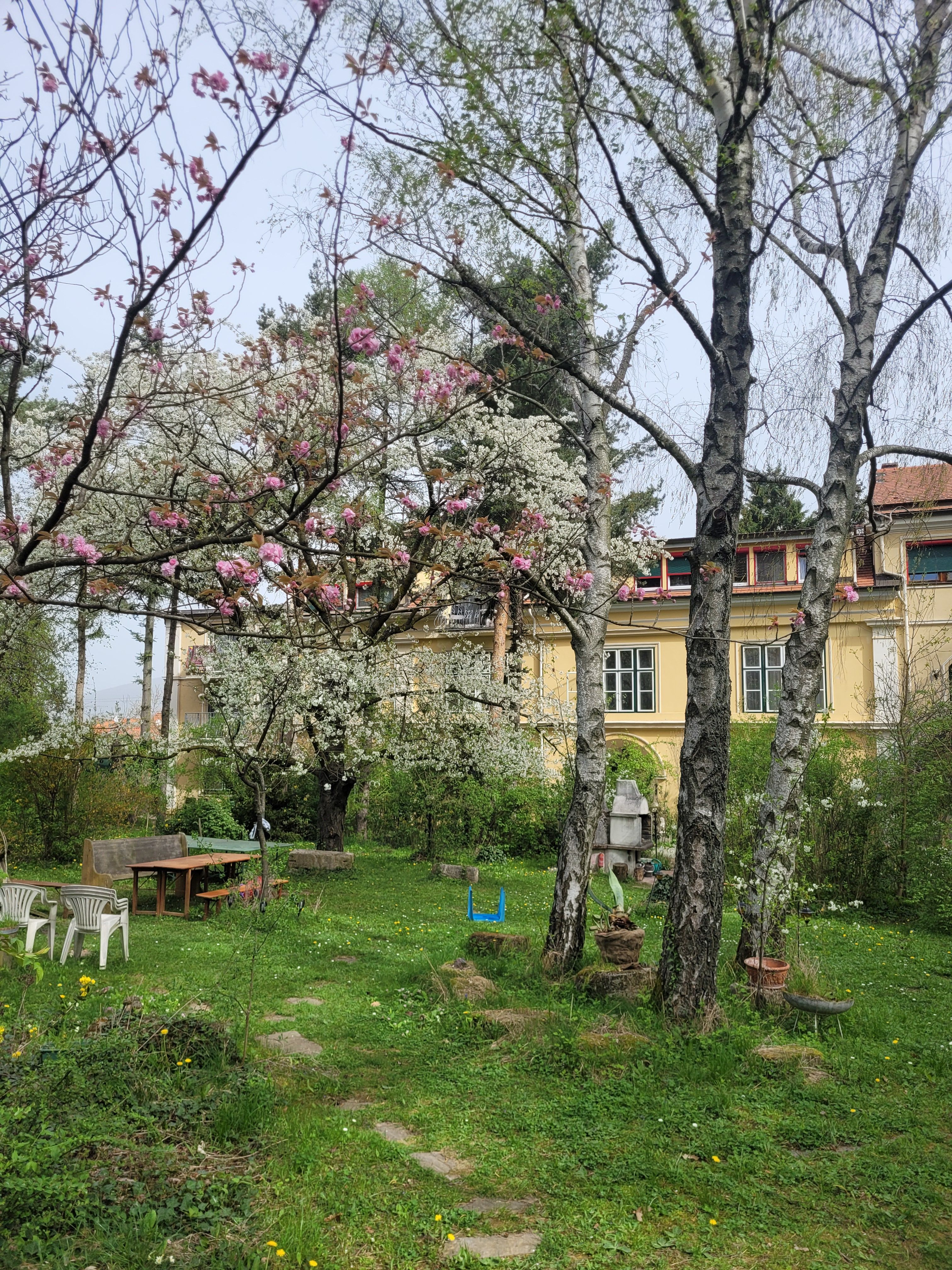 Vila Pannonica Wolfsthal, záhrada so stromami