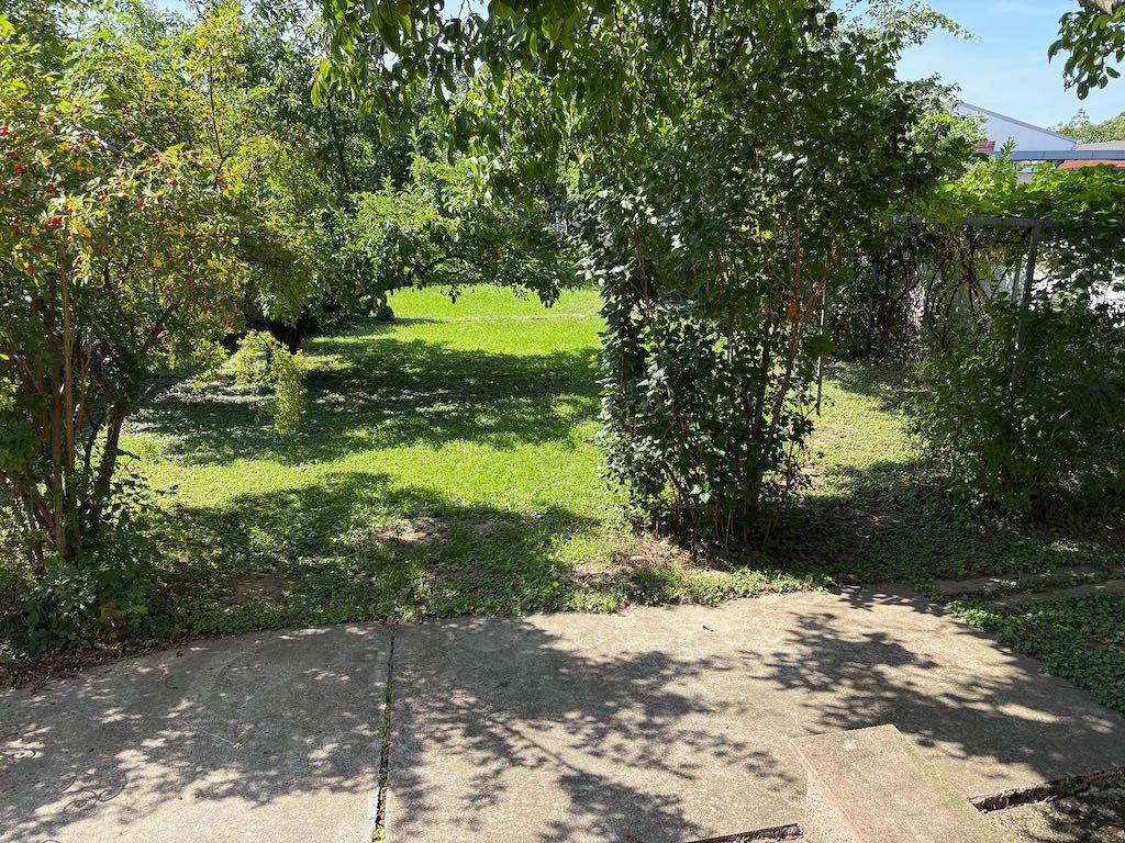 Záhrada so stromami a kríkmi, slnečný deň.