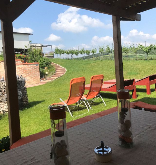 Pohľad z terasy do záhrady s ležadlami a viničom v pozadí.