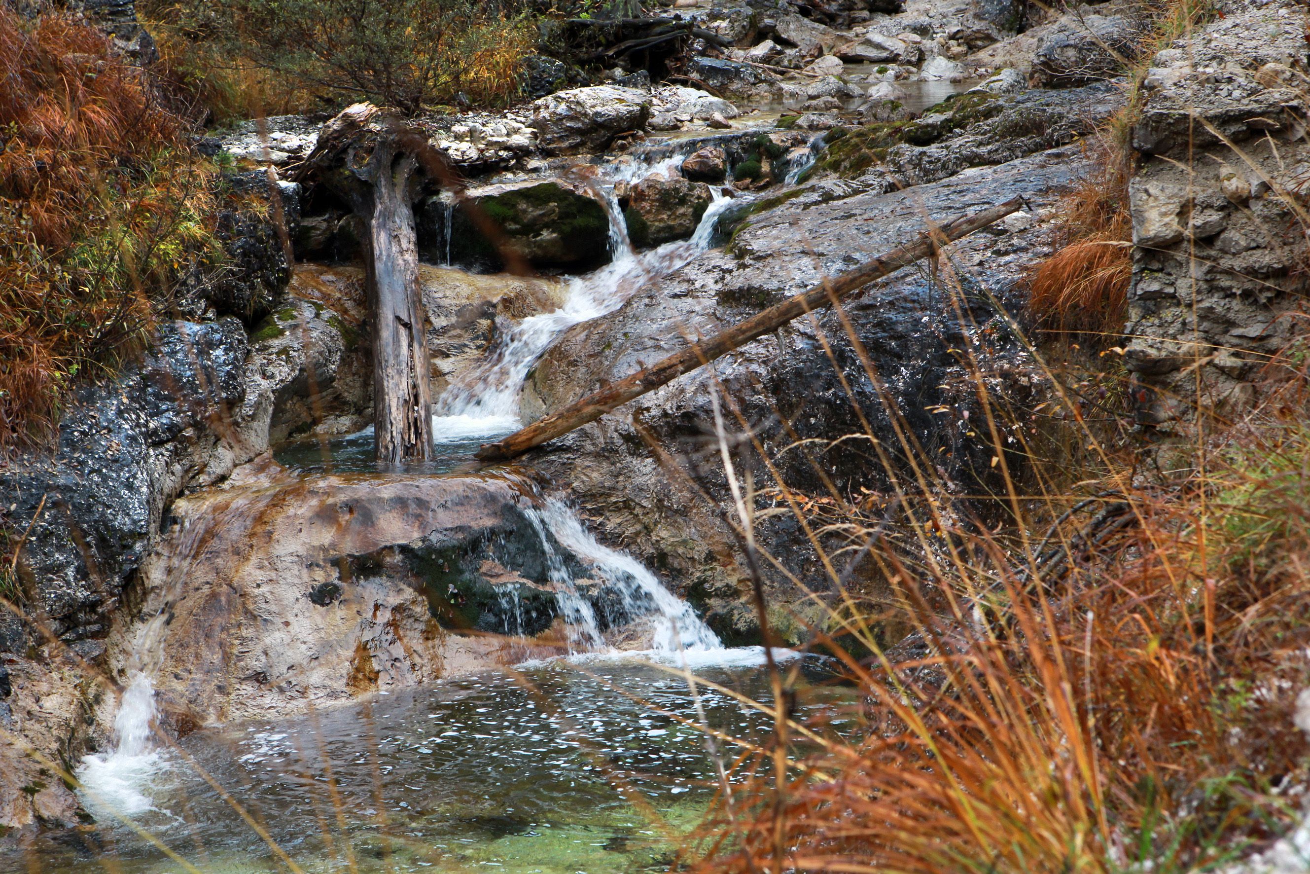 Divočina Dürrenstein