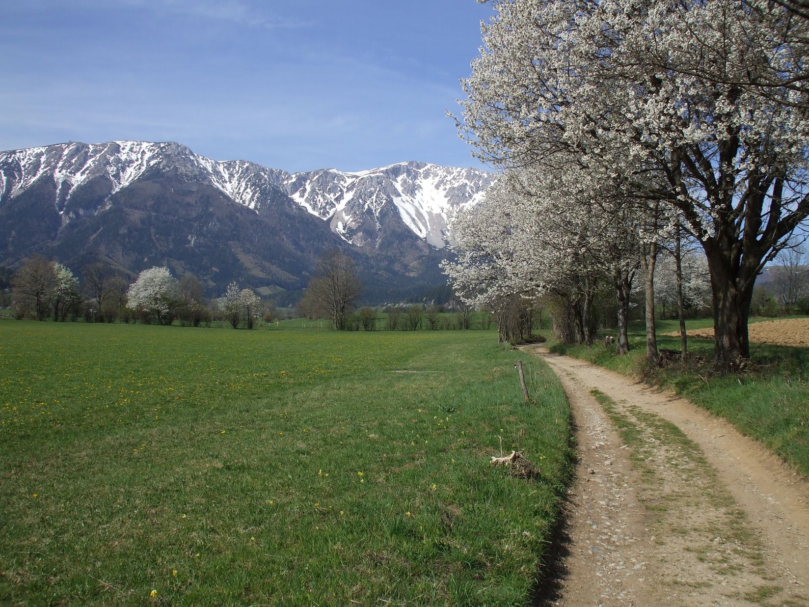 Snežná hora