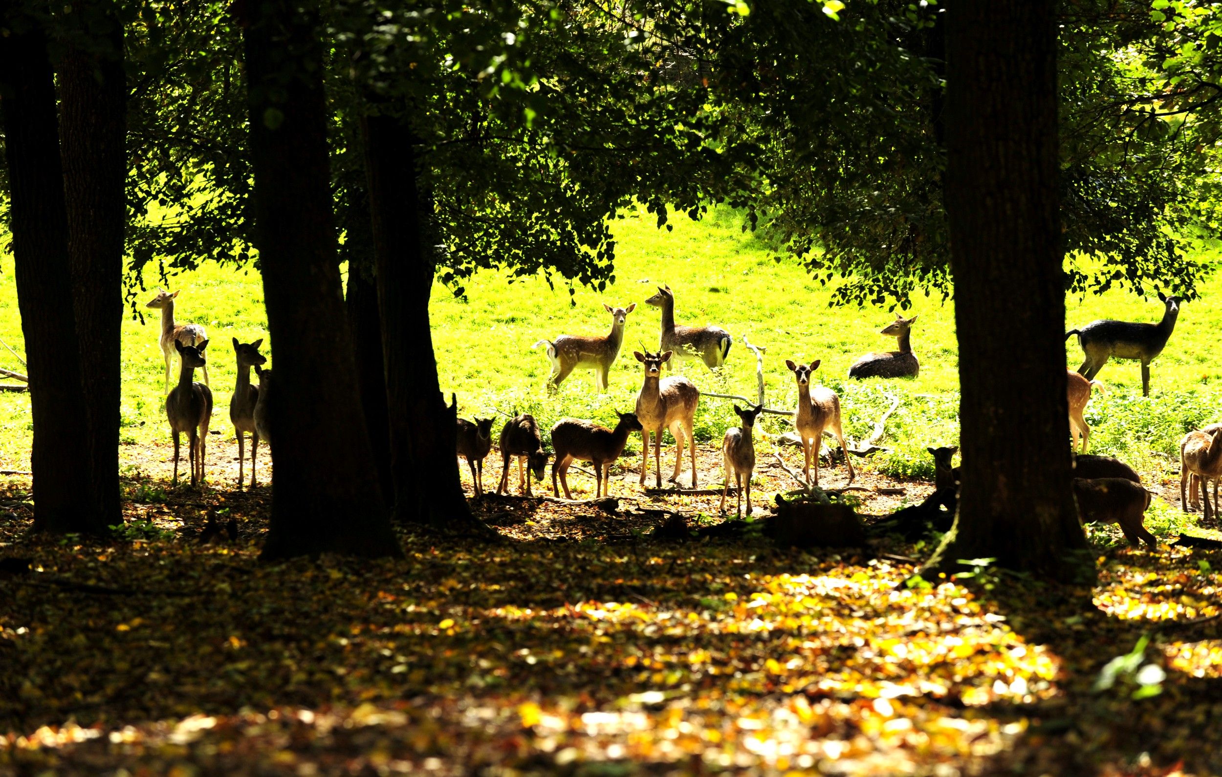 Naturpark Geras