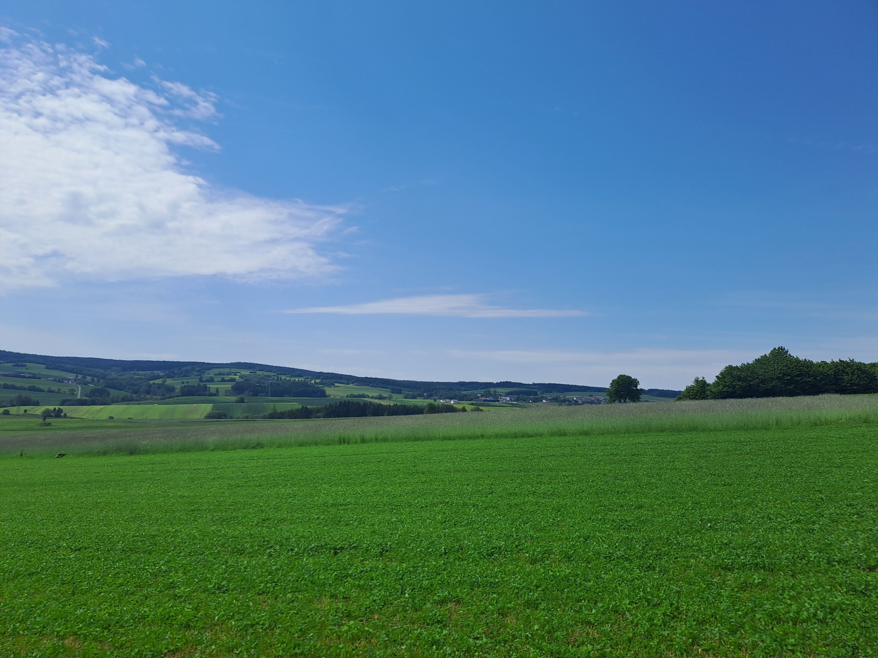 Pohľad na zelené lúky a polia