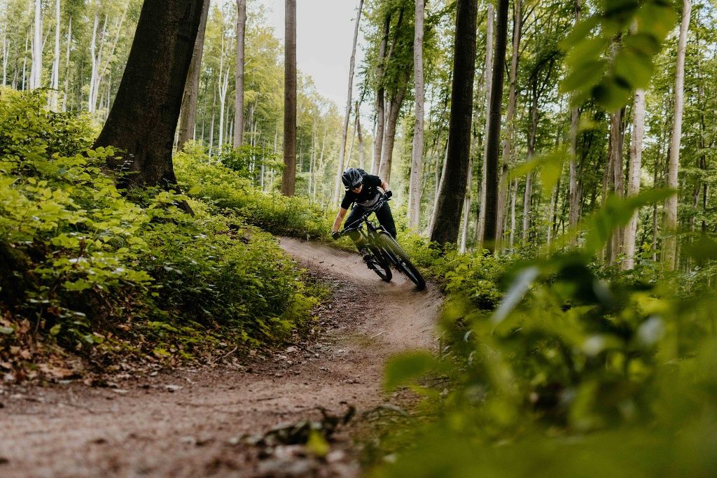 MTB Weidlingbach