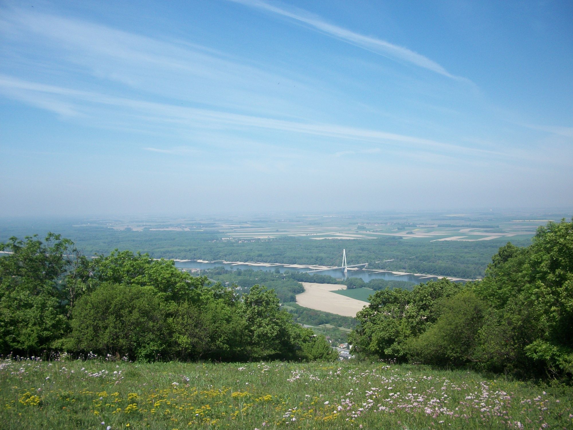 Zobraziť