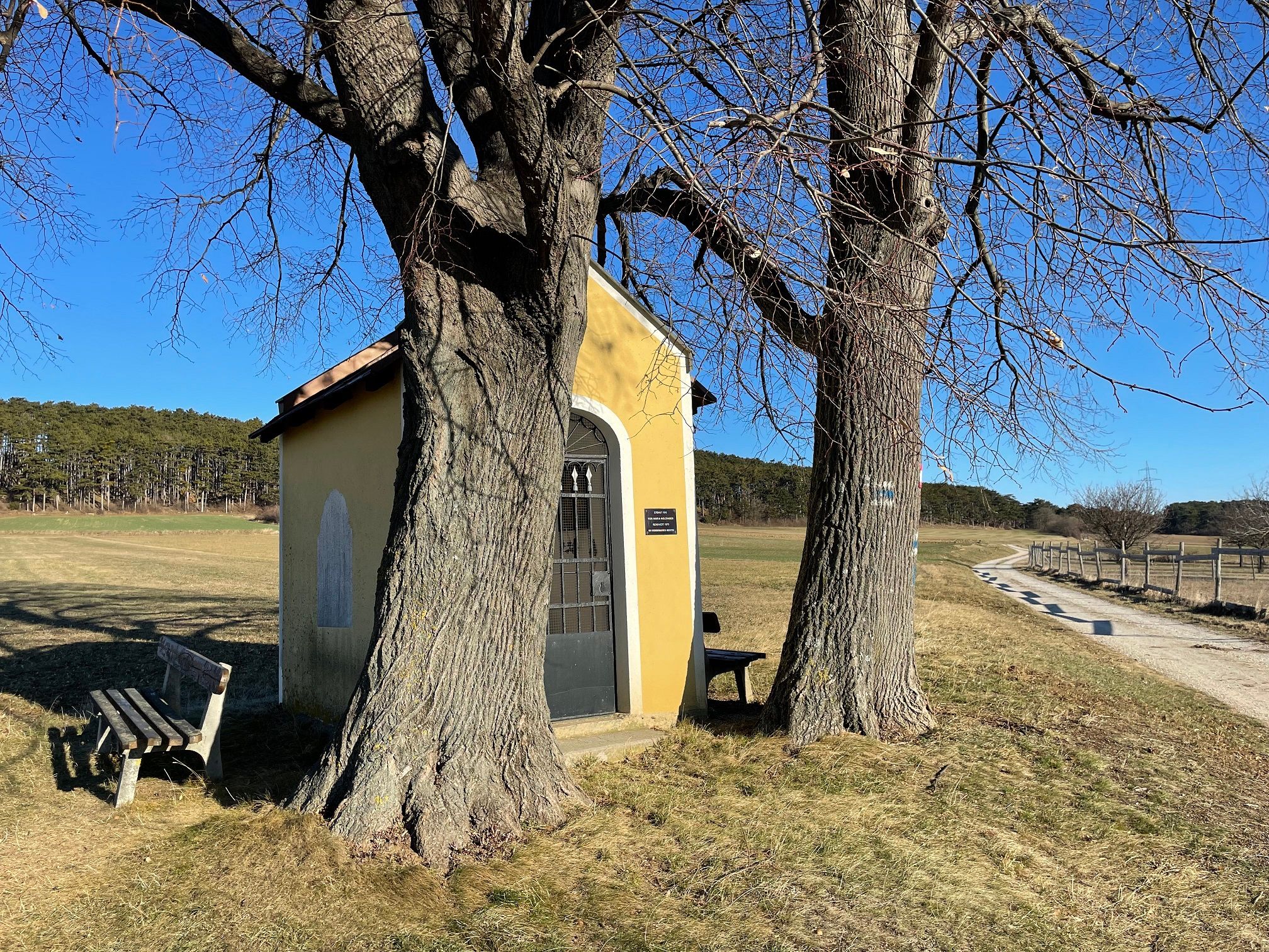 Malá žltá kaplnka medzi dvoma stromami na vidieckej ceste.