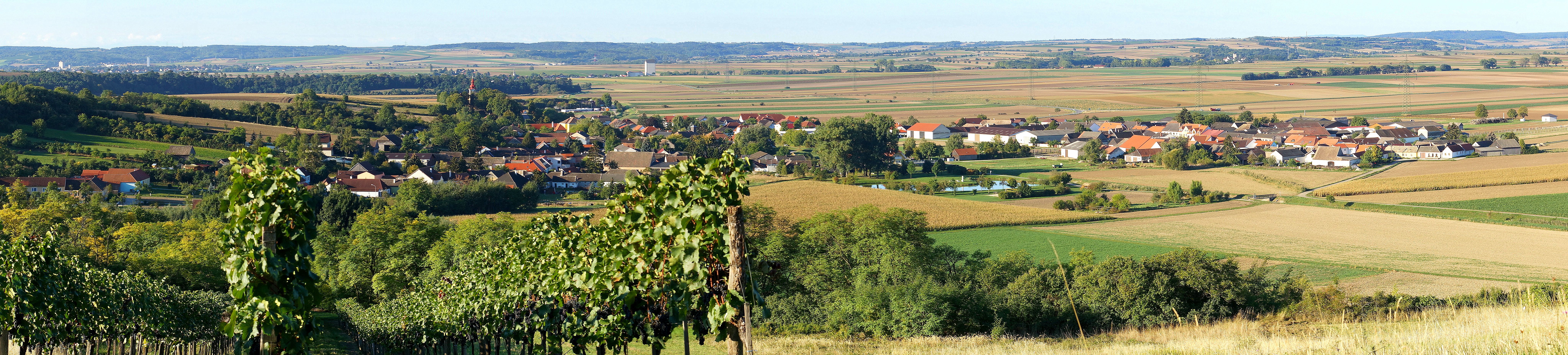 Panoráma dediny s poliami a vinicami v popredí.