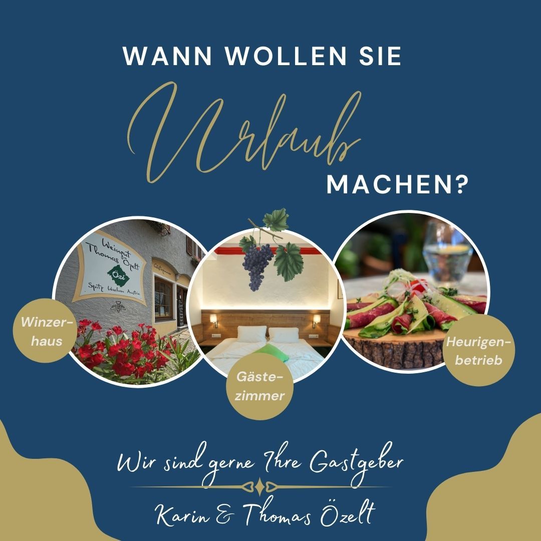 Reklama na dovolenku vo Wachau s fotografiami vinohradníckeho domu, izieb pre hostí a vinárskej krčmy.