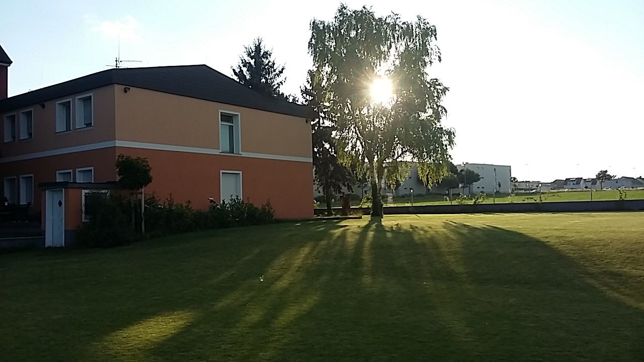 Záhrada