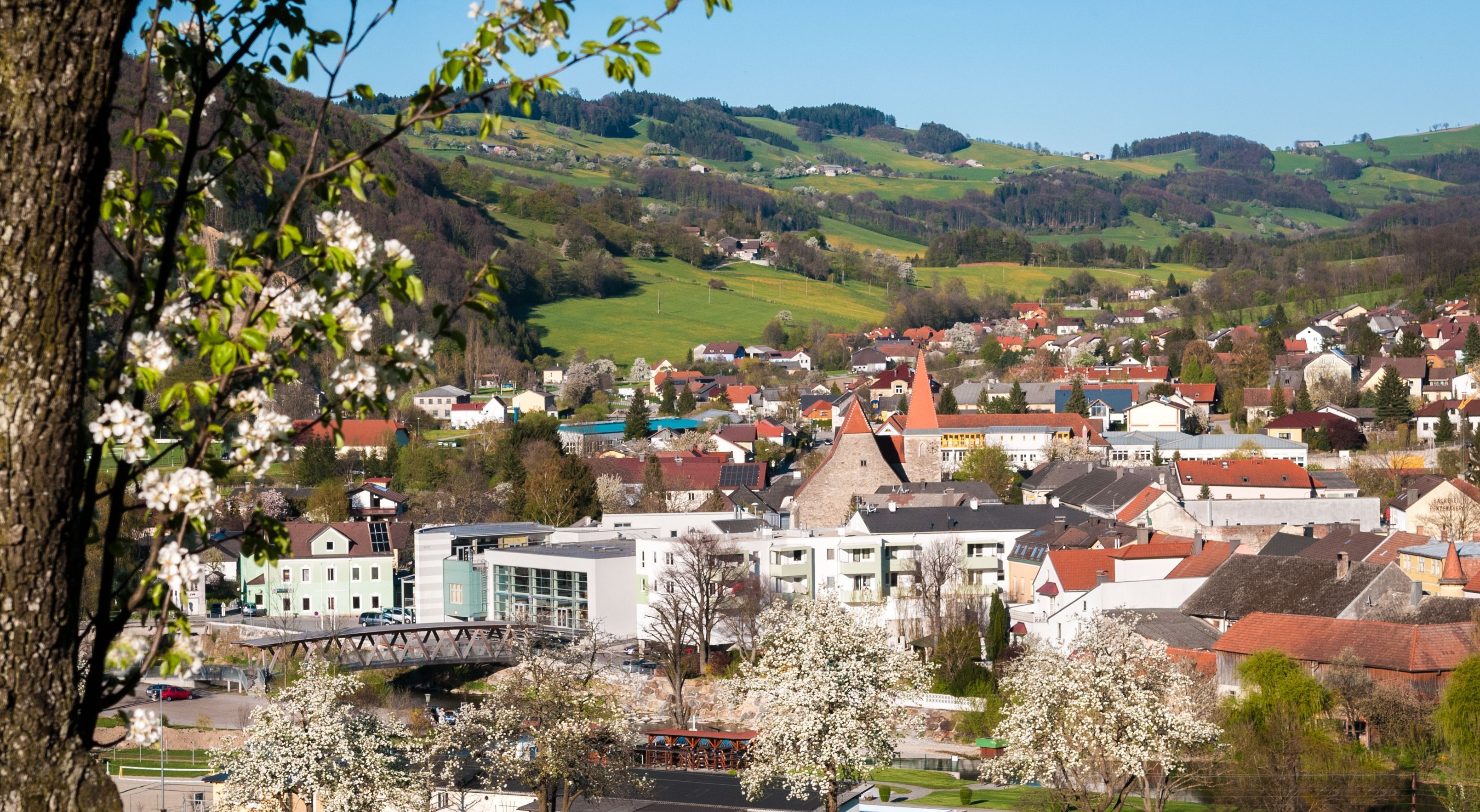 Panoráma Rabensteinu s kvitnúcimi stromami v popredí a kopcami v pozadí.