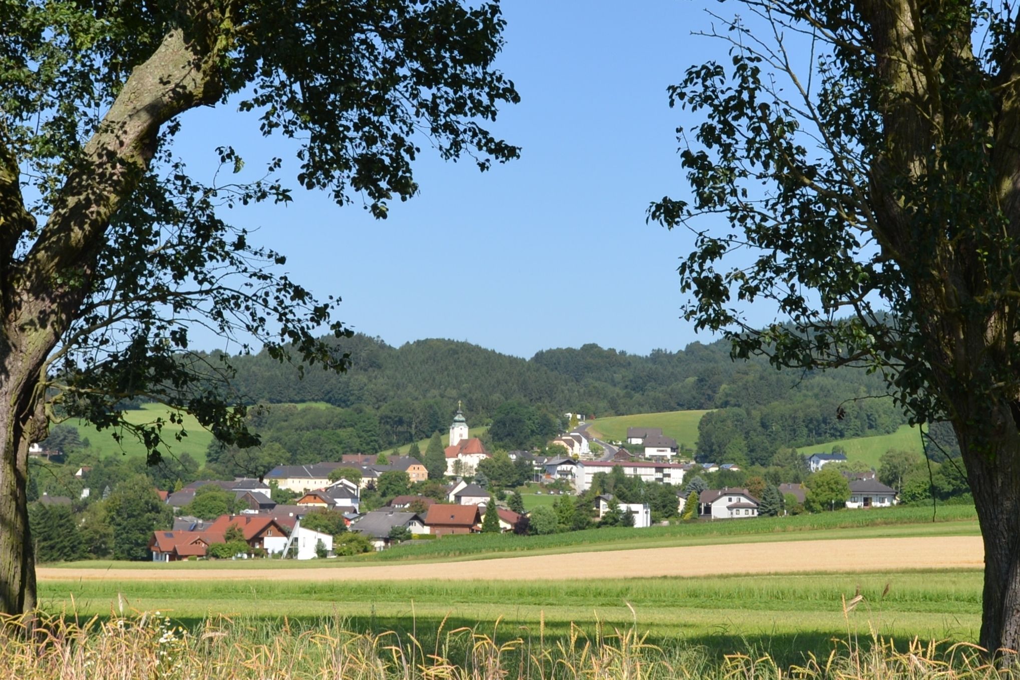 Krajina s dedinou a kostolom v pozadí, orámovaná stromami.