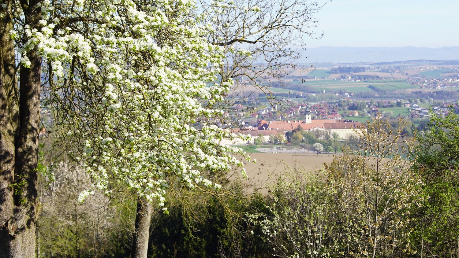 Turistická trasa Trefflingblickweg