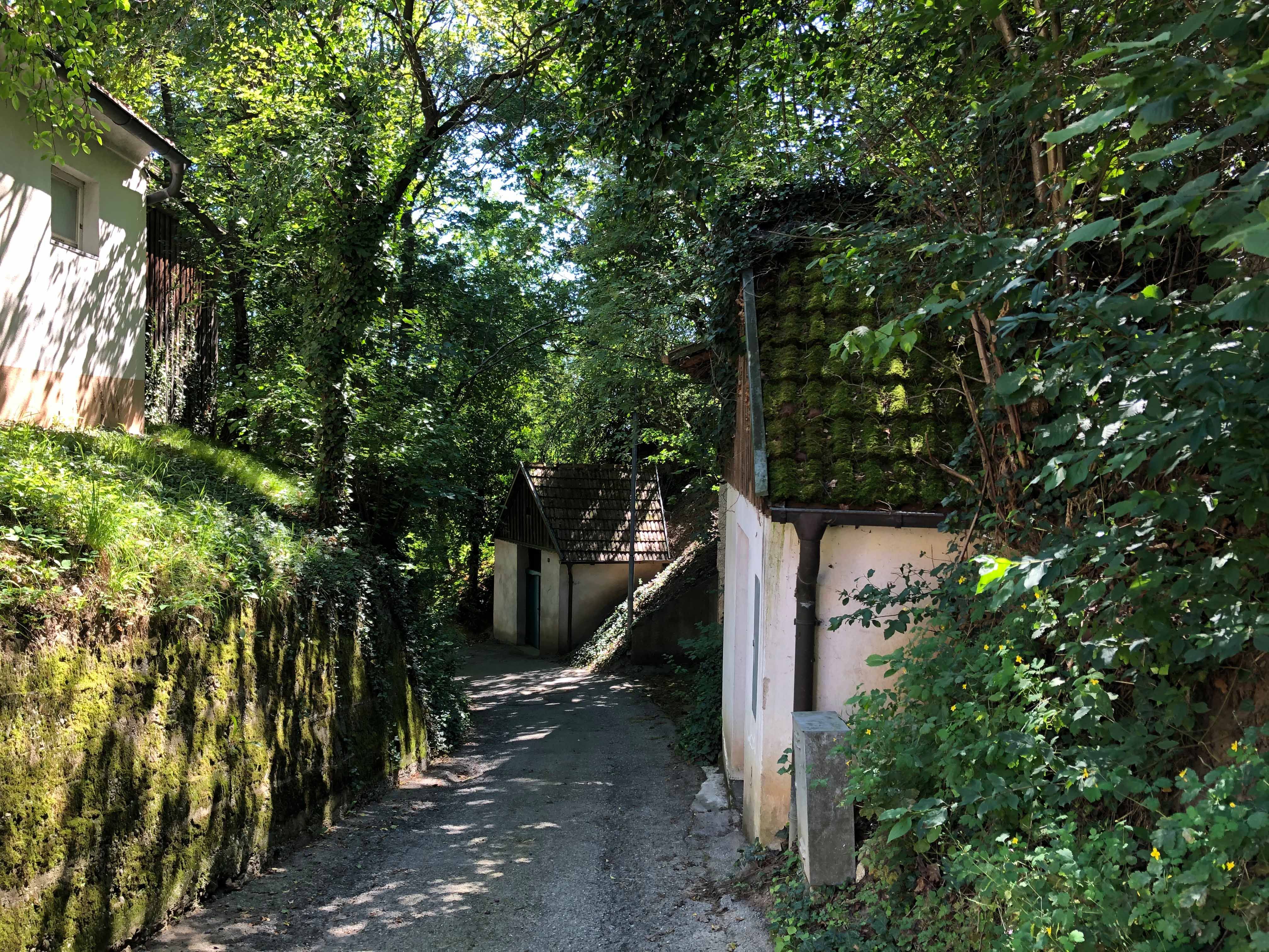 Úzka cesta vedie cez zelenú zalesnenú oblasť s malými budovami po oboch stranách.