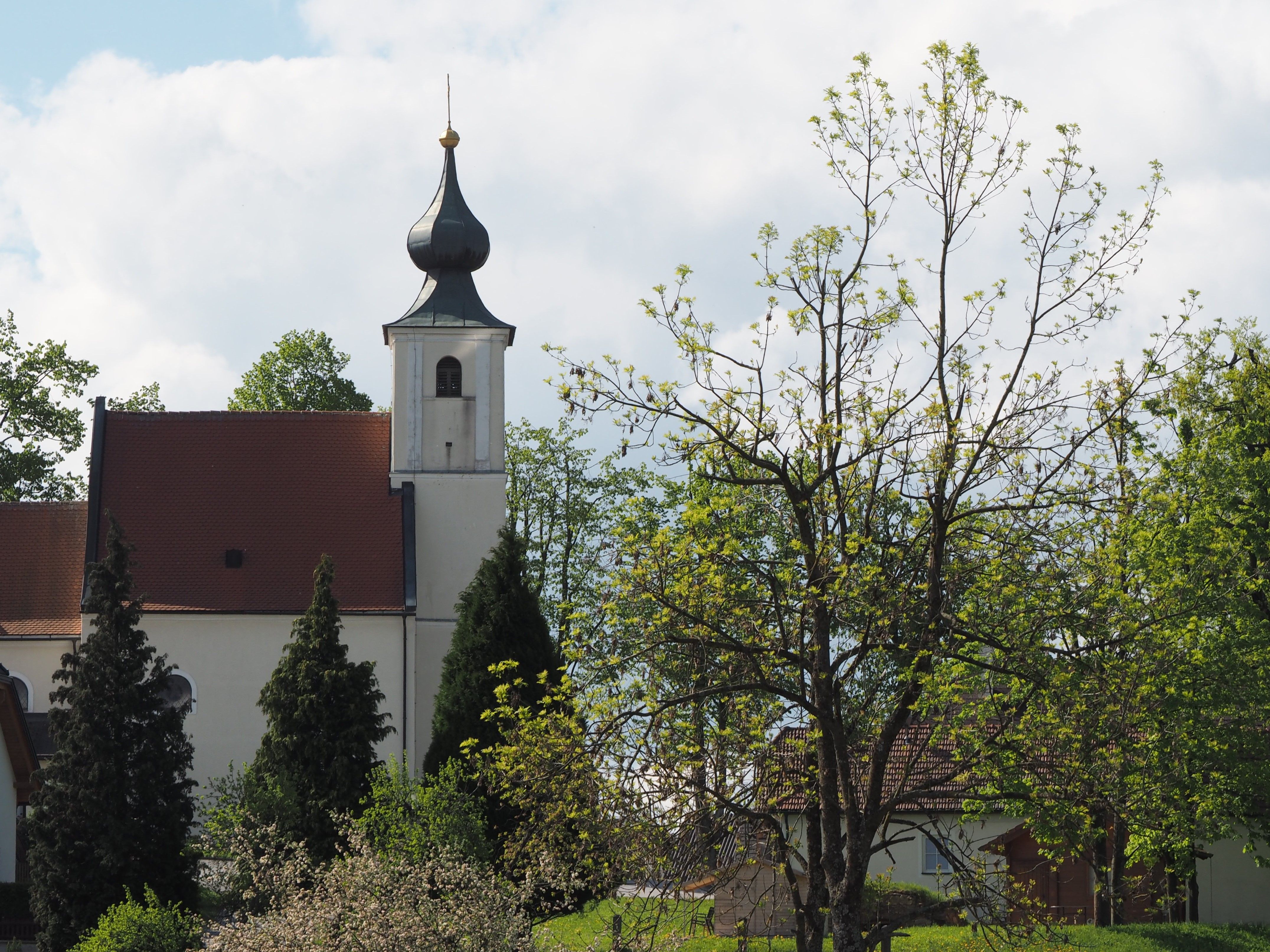 Kostol s cibuľovou kupolou a stromami v popredí.