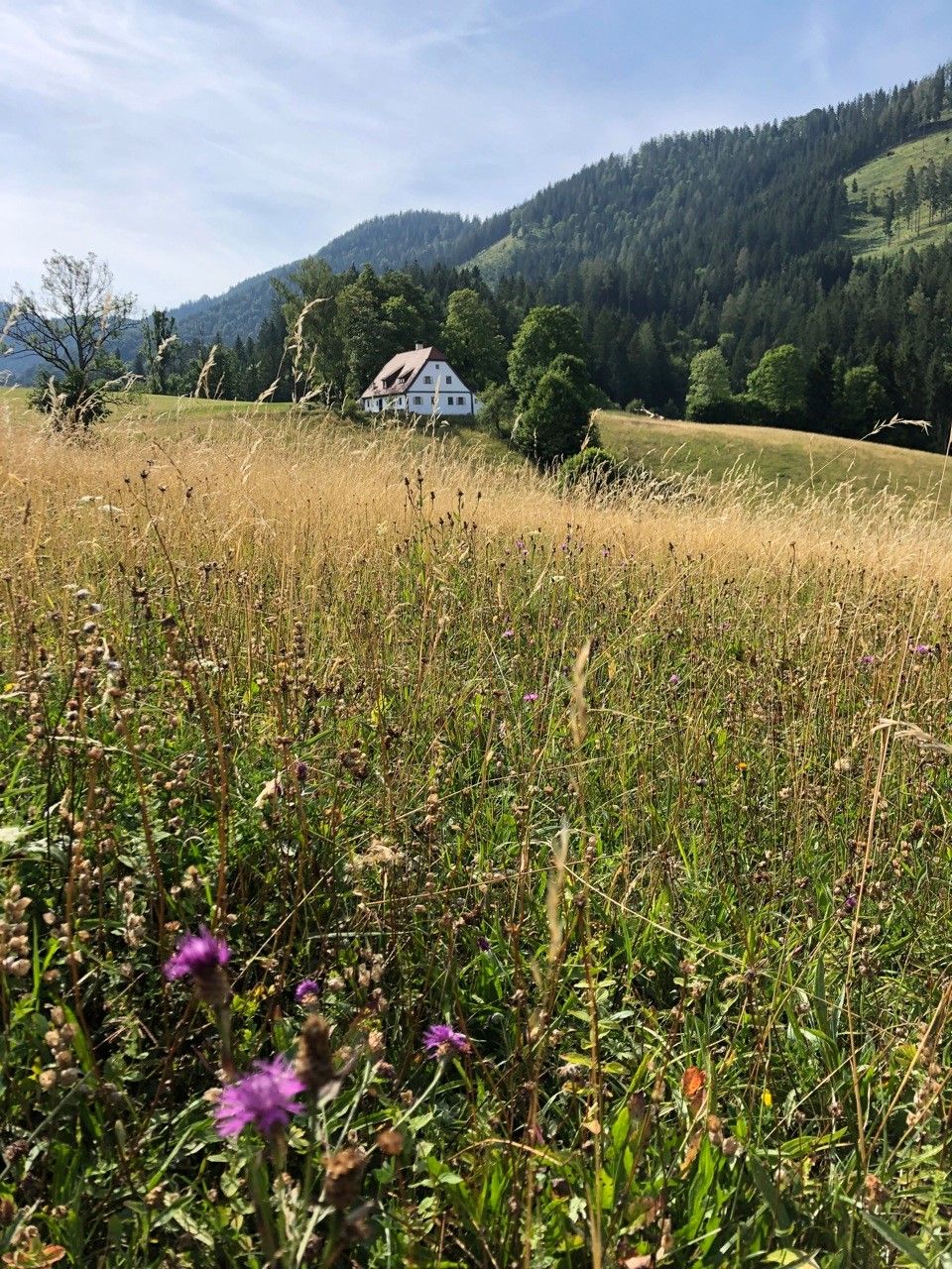 Dovolenková chata Hinterbreiteneben