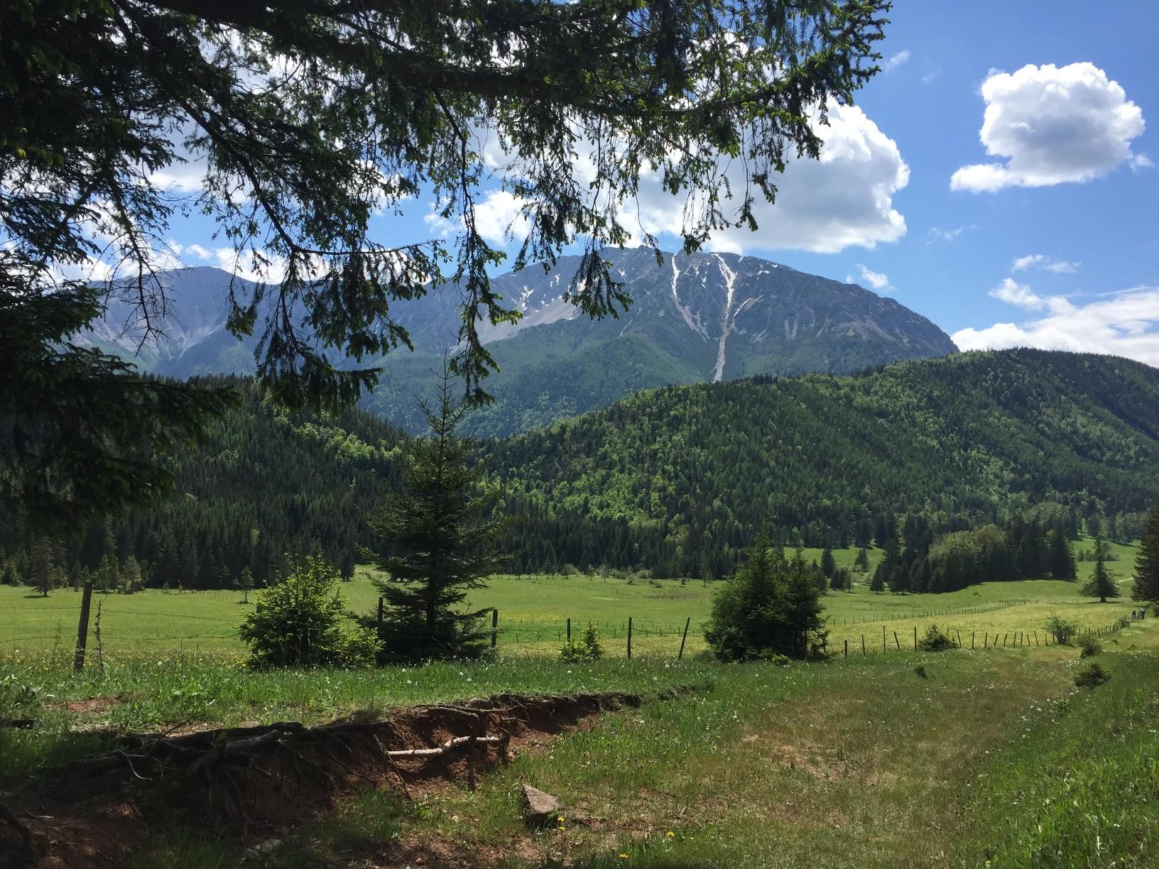 Trasa Schneeberg