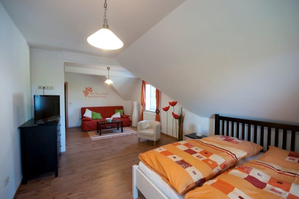 Útulná izba pre hostí s manželskou posteľou, pohovkou, TV a dekoratívnymi prvkami.