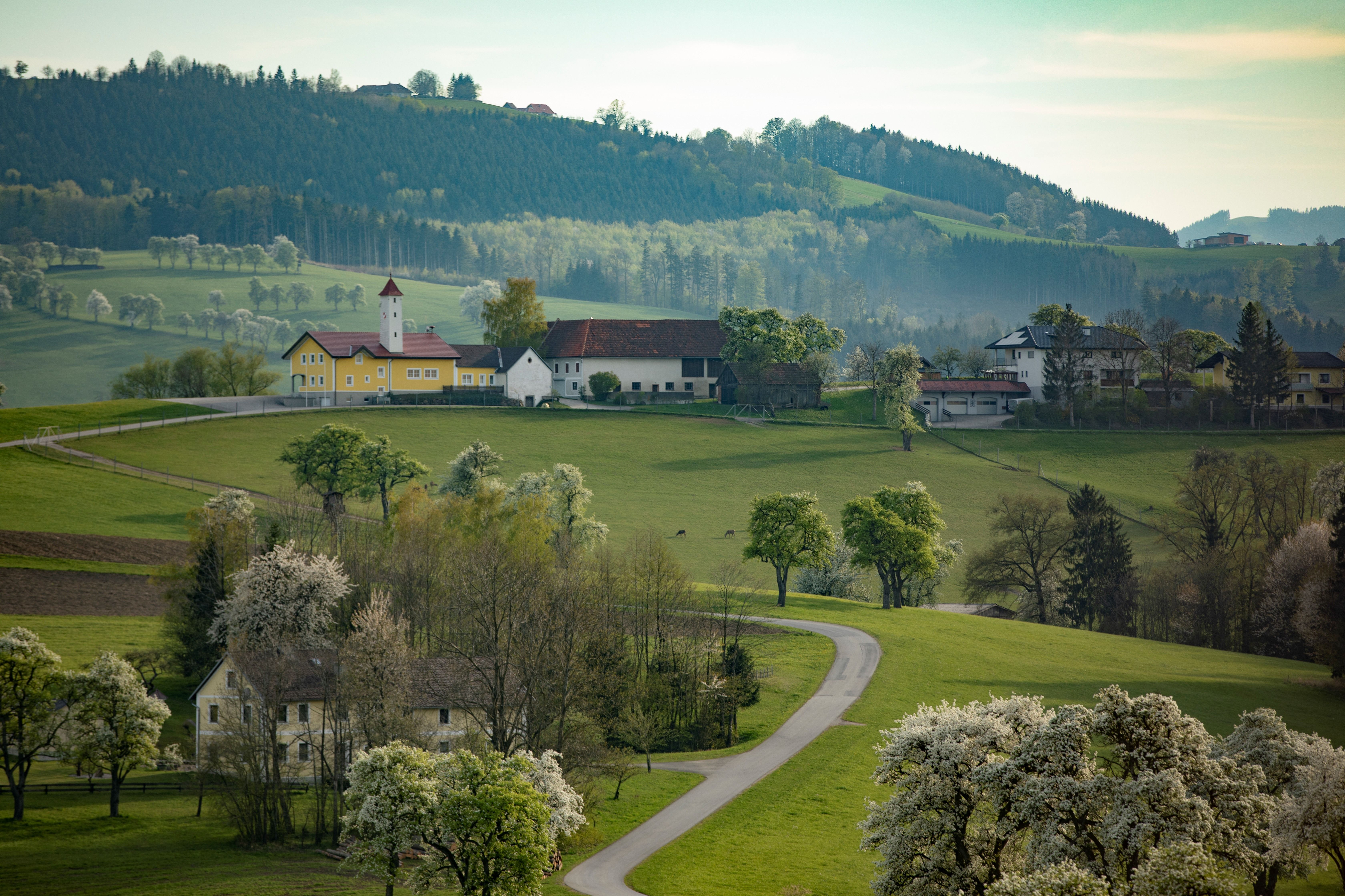 Karl-Lammerhuber-Blick-Weg