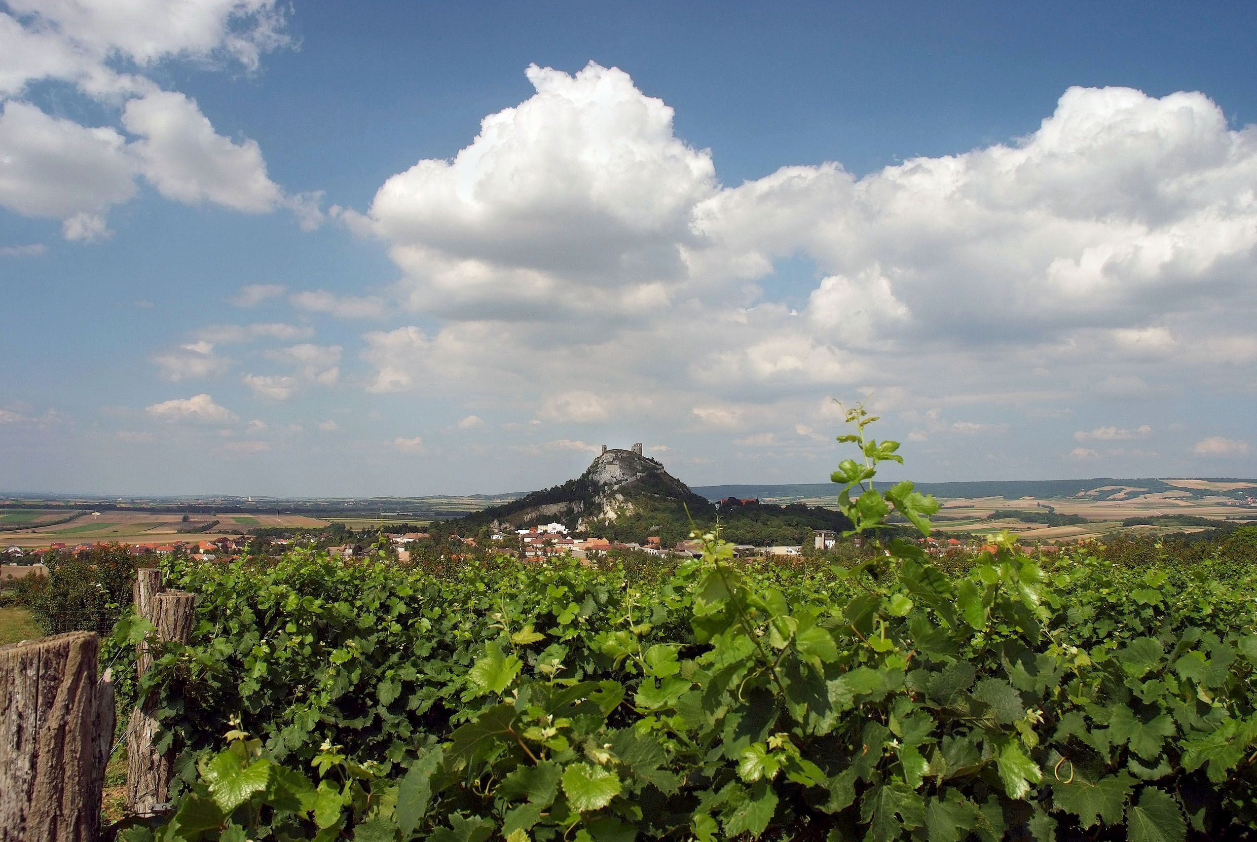 Pohľad na Staatzer Berg so zrúcaninami, obklopený vinicami a poľami pod modrou oblohou s mrakmi.