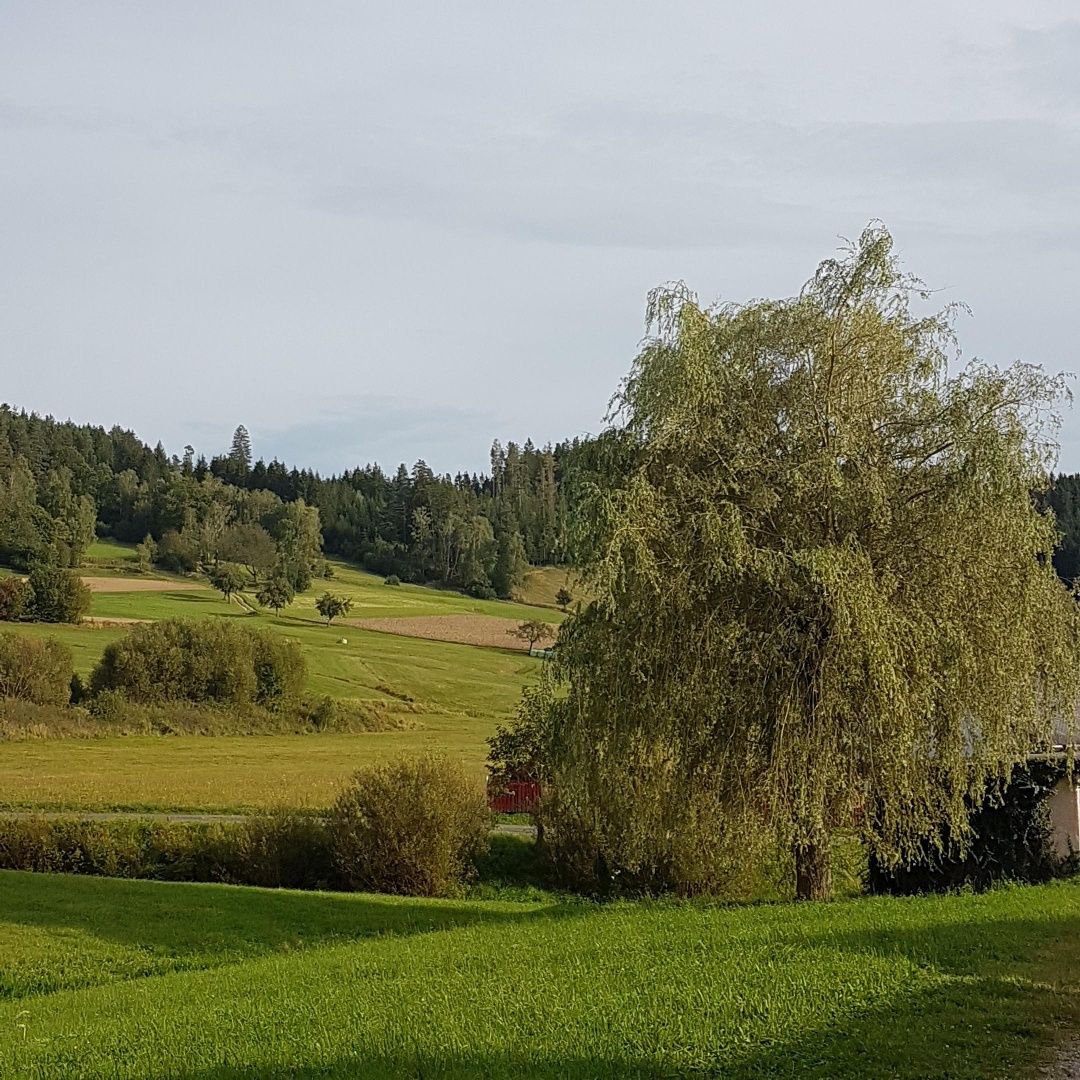 Dedinská cesta