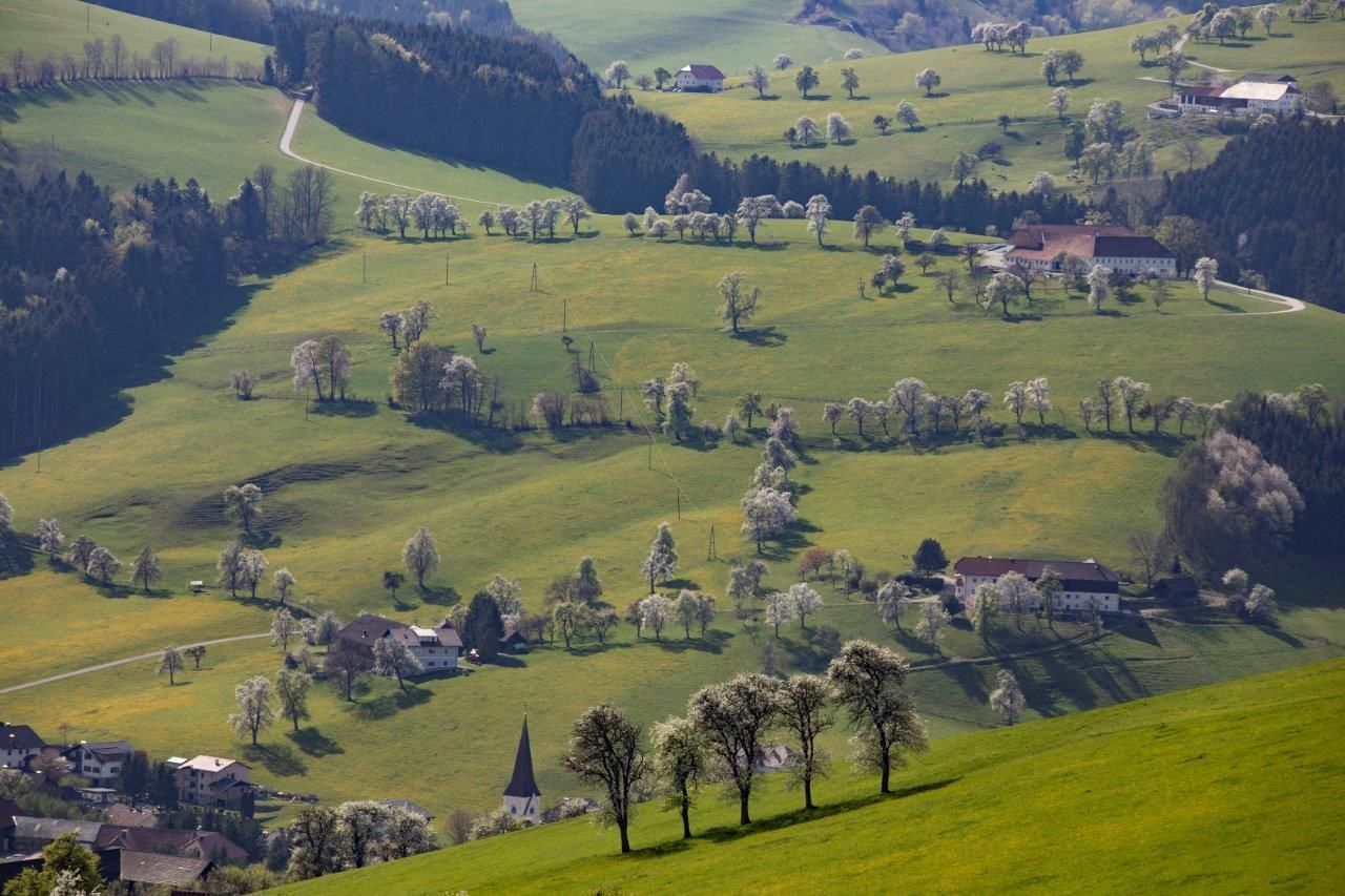 Fotografický bod Mostviertel