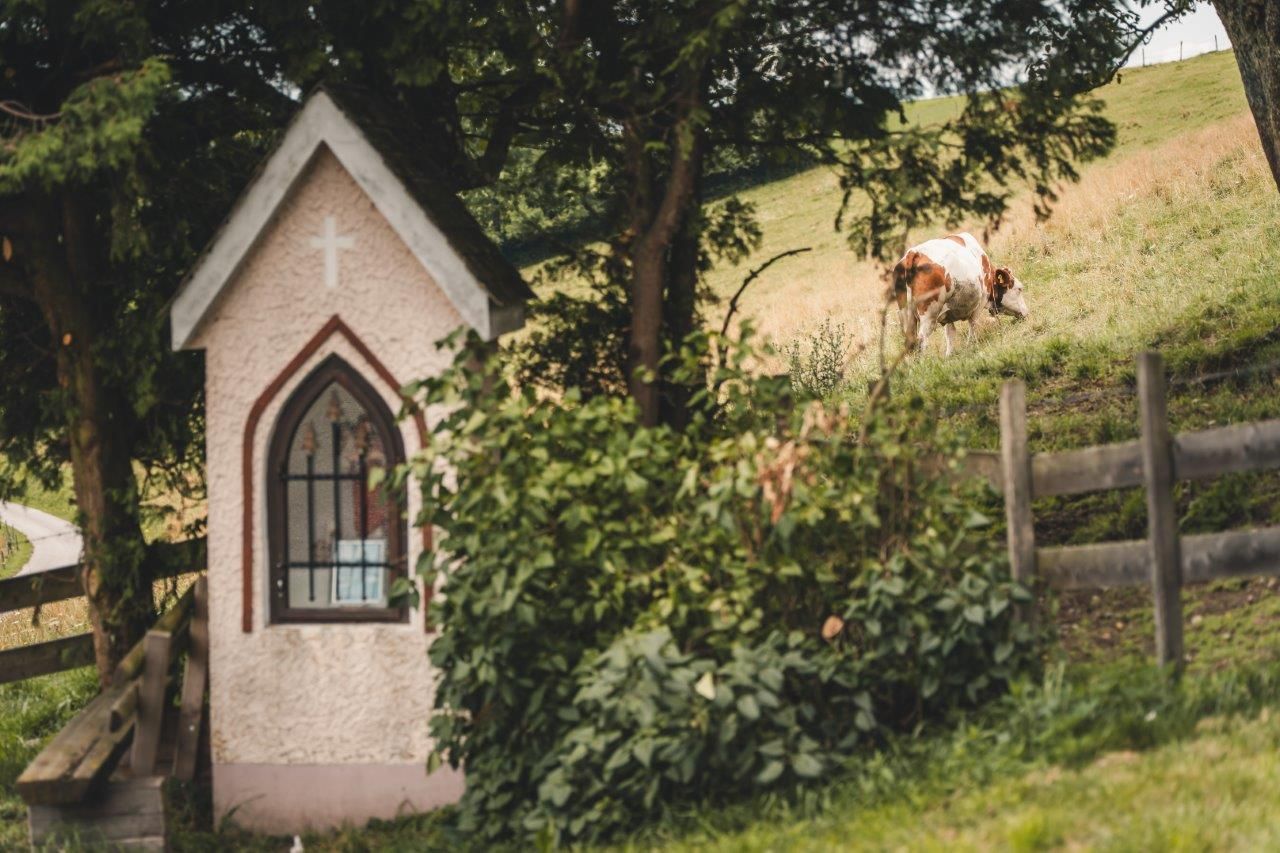 Muštová viecha Almhaus Hochkogel