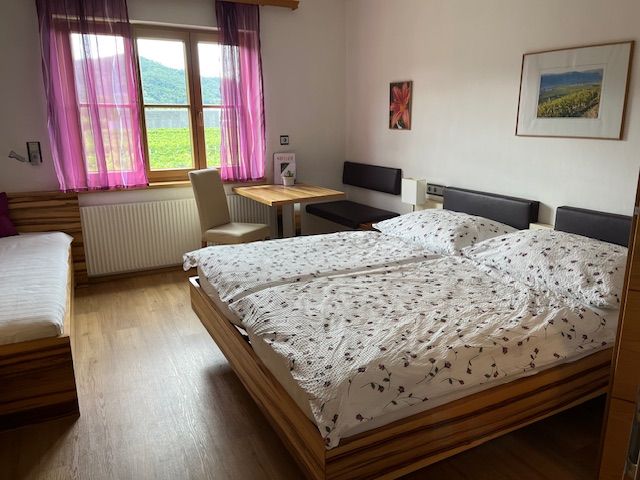 Izba pre hostí
